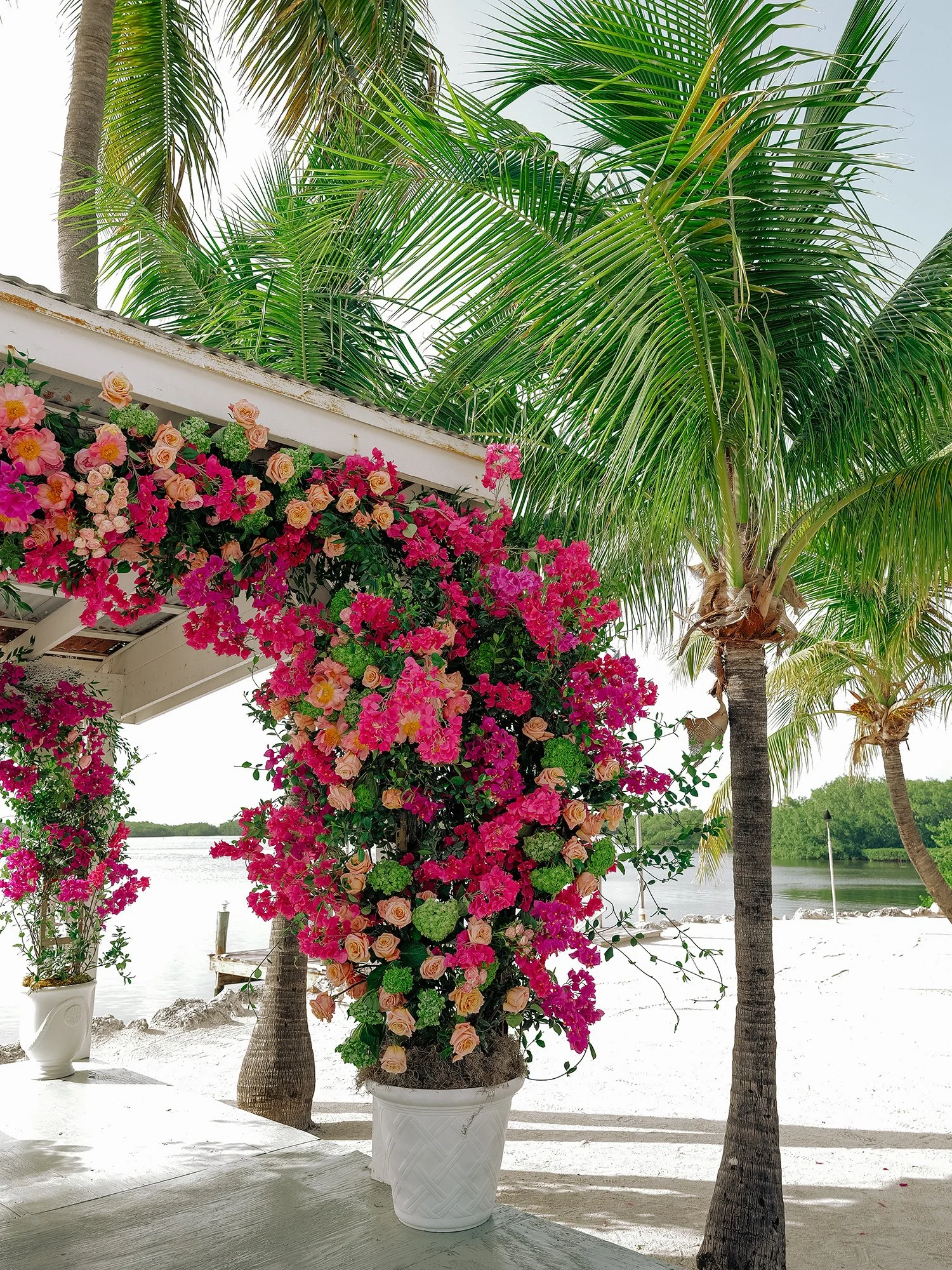 CASWELL PREVIEWS 039-2 copy.jpg