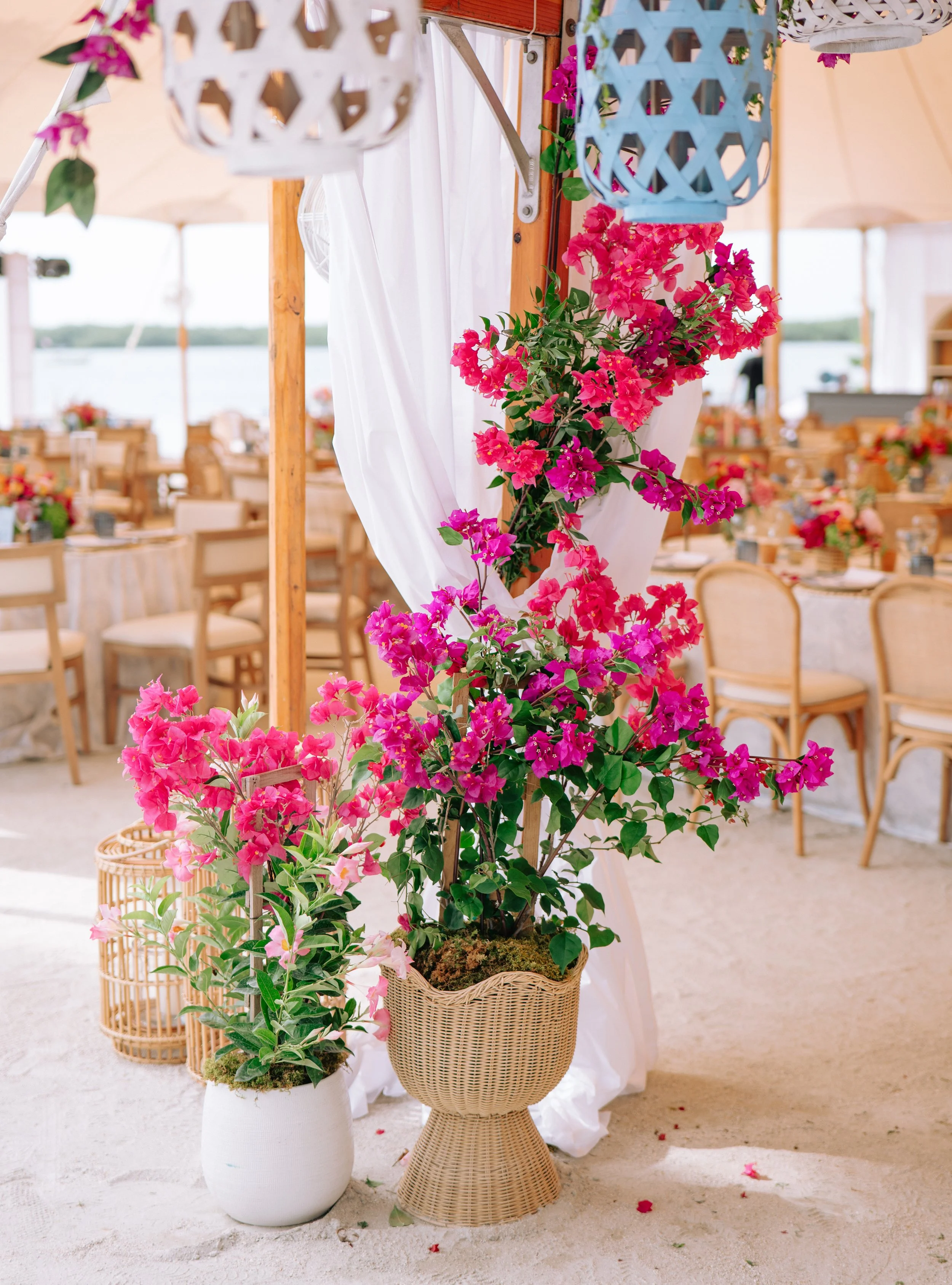 CASWELL WEDDING 2293.JPG