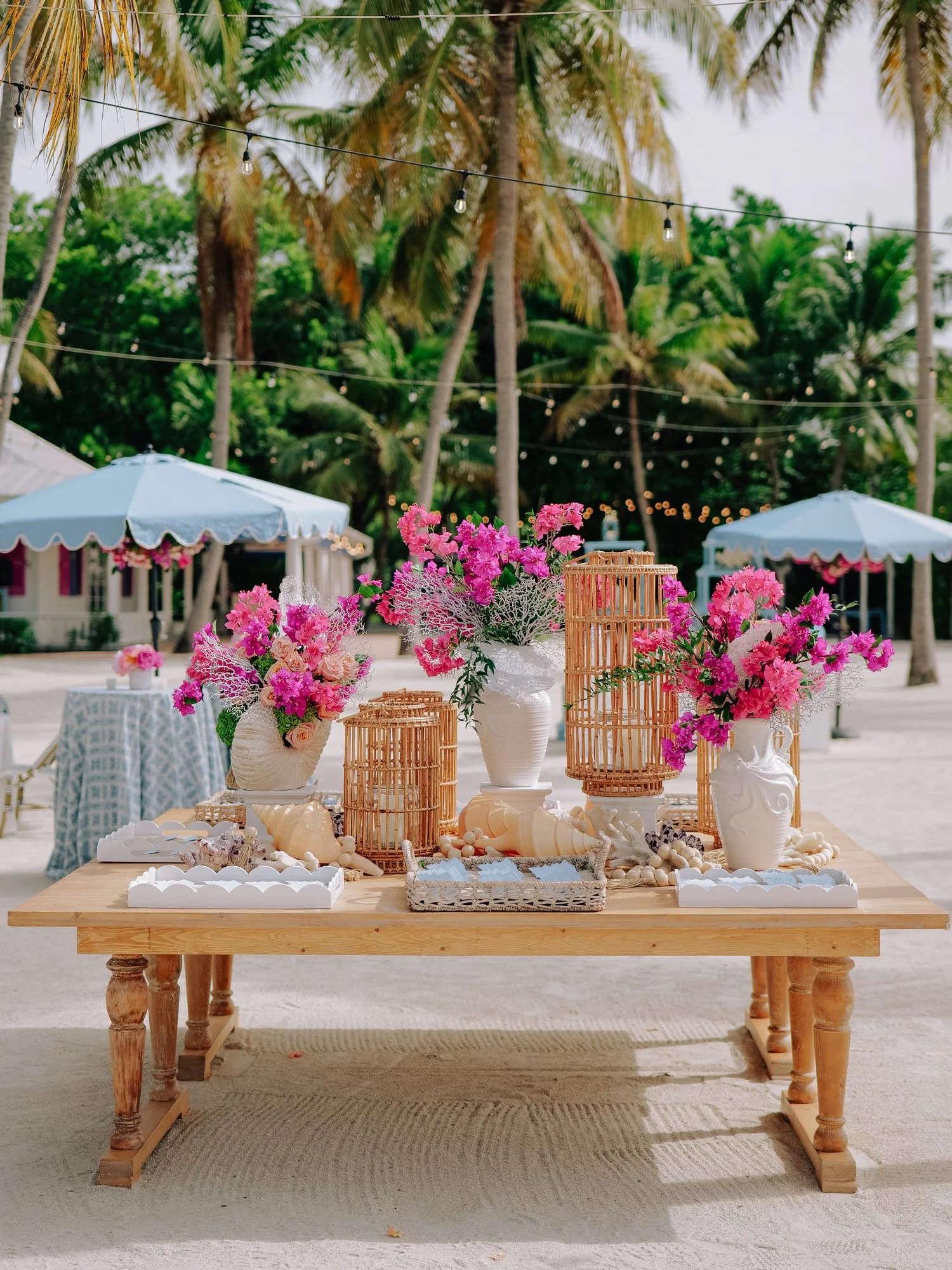 CASWELL PREVIEWS 027-2 copy.jpg