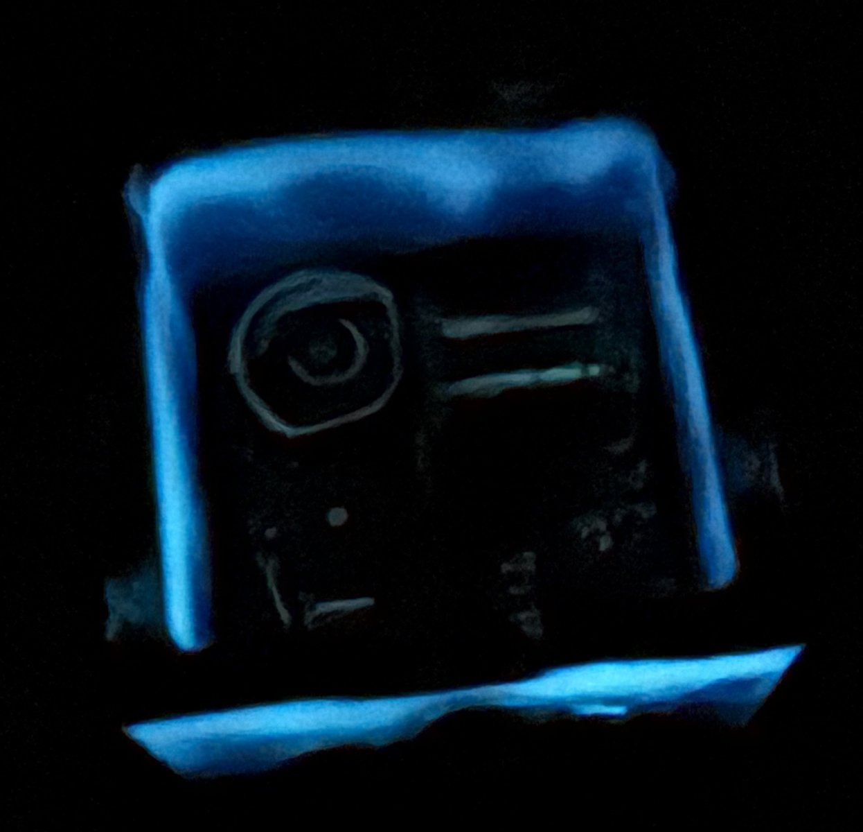 IMG_4061.jpeg