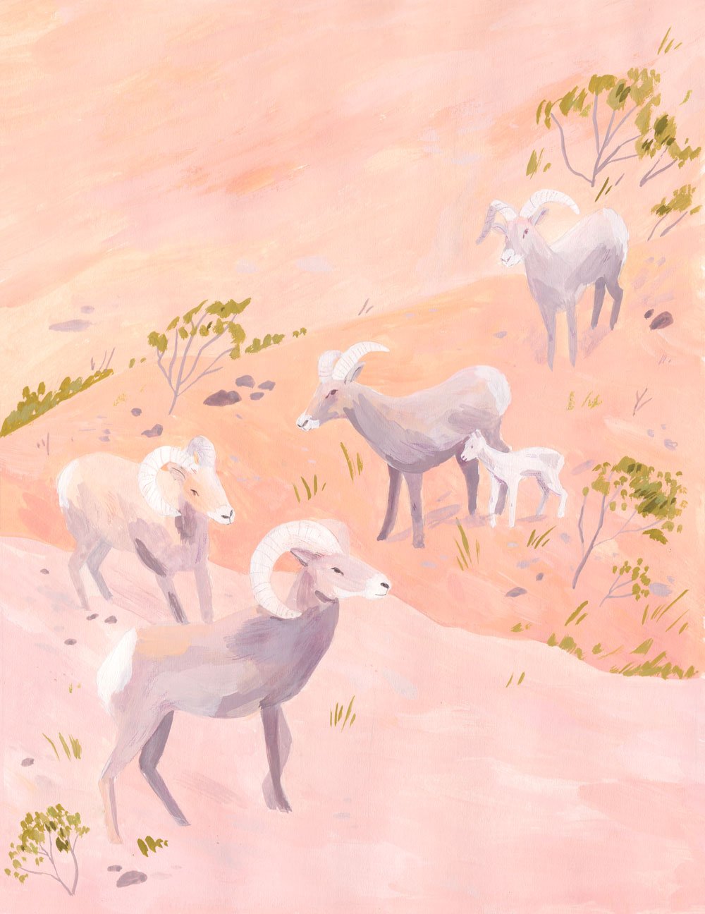 Sheep Migration