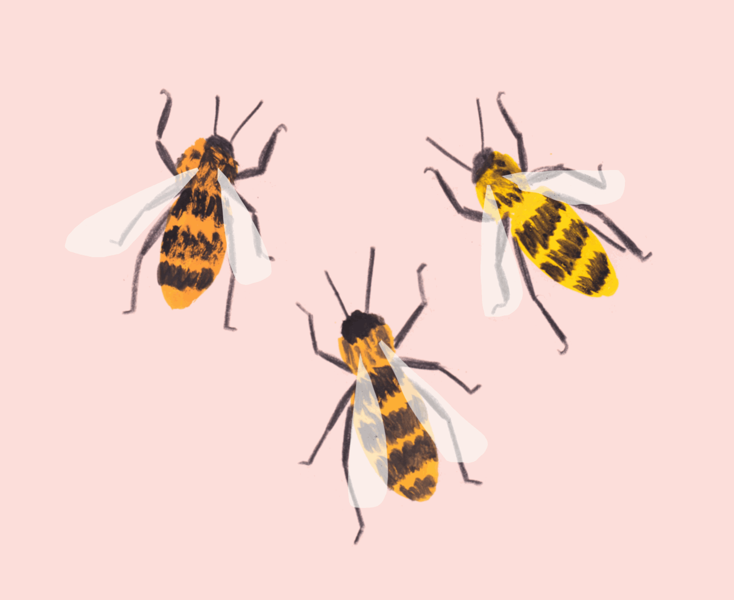 Bees GIF
