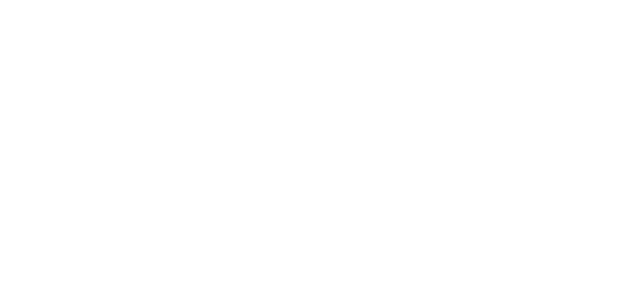 Chayo Logo White horizontal.png