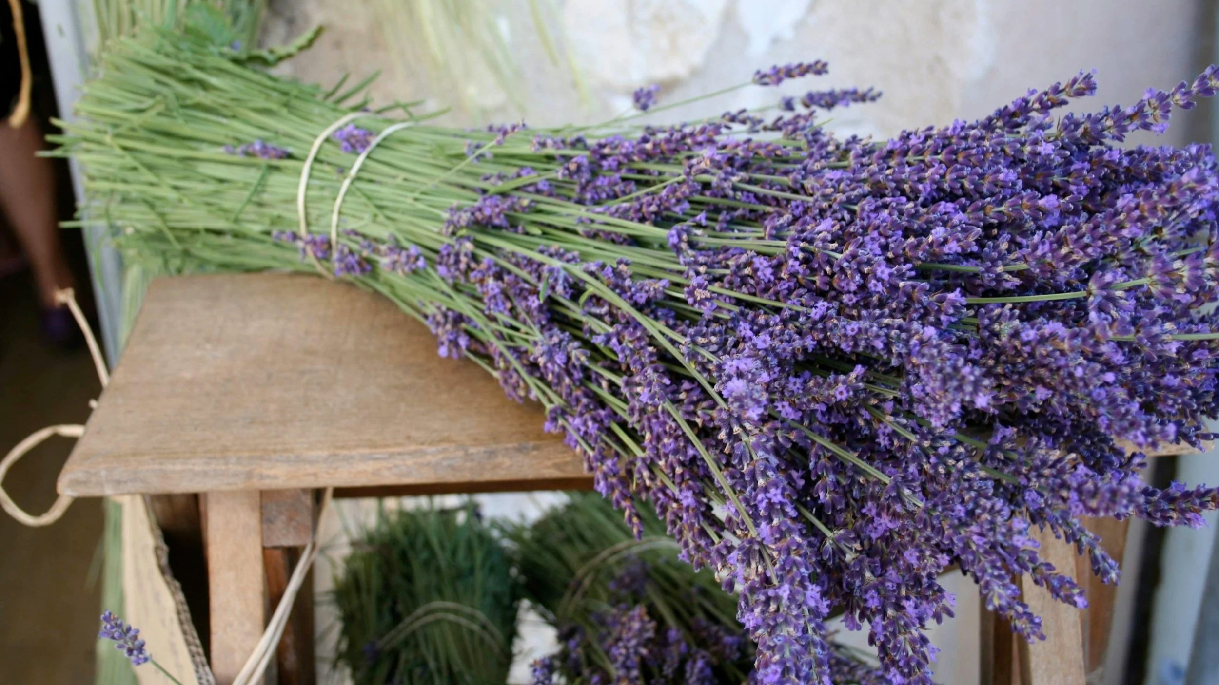 Bundle of French lavender, otherwise known as Provence lavender that you can grow yourself in your Ohio garden