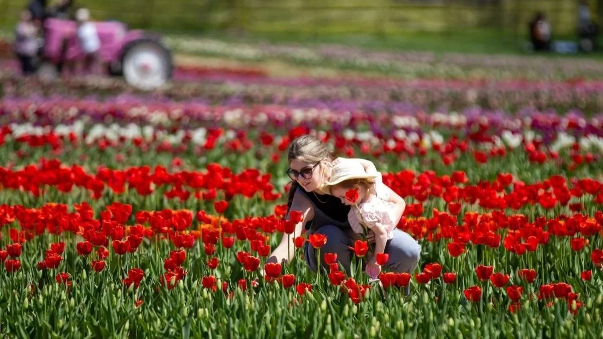 A mom and her daughter bonding while picking flowers in the U-pick flower fields at Timbuk Farms