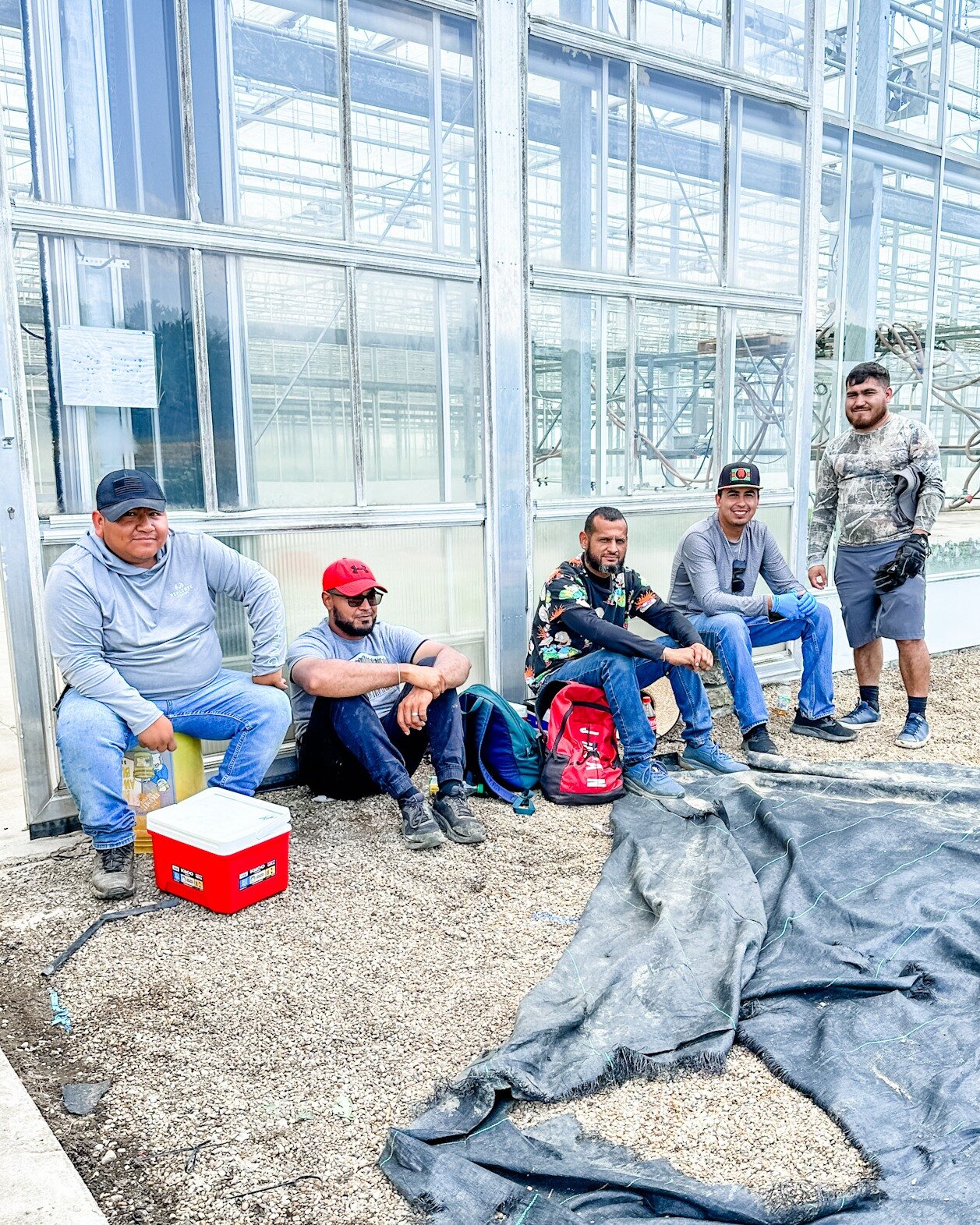 Here at Timbuk Farms, people come first. Many of wonderful team members have worked here for 10, even 15, years! 🤗  We are thankful for the hard work they do every day. 

L2R: Miguel, Kelvin, Angel, Bebe, Little Jimmy!  #TimbukFarms #TeamAppreciatio