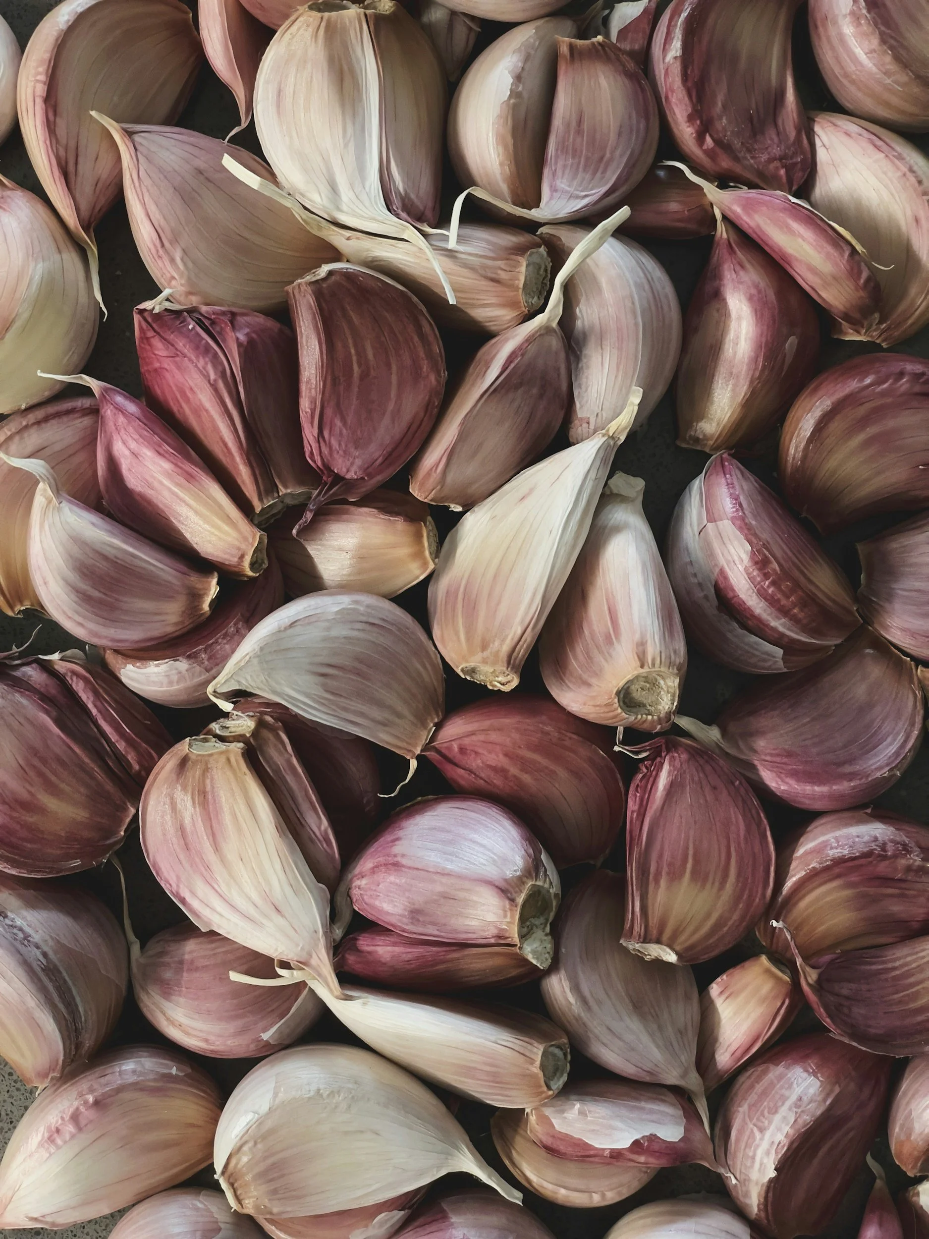 A picture of white and purple garlic cloves that should be planted in early spring to get a fall harvest of garlic in Ohio.