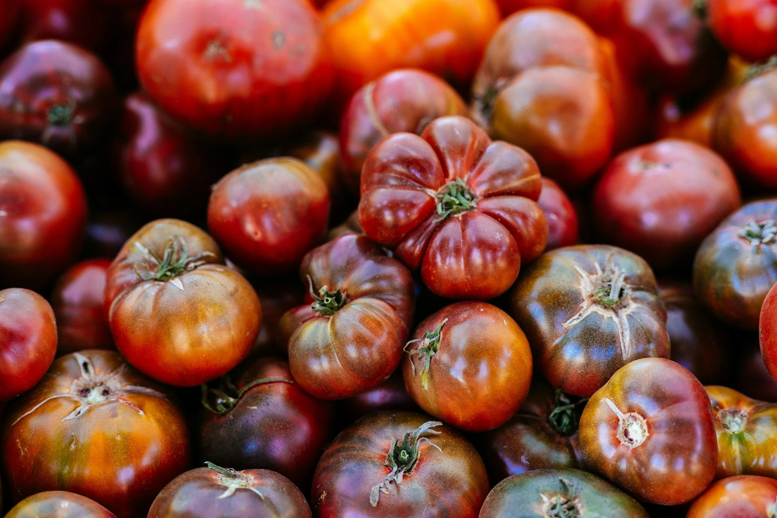 Cherokee purple tomatoes that you can get at central Ohio nursery, Timbuk Farms