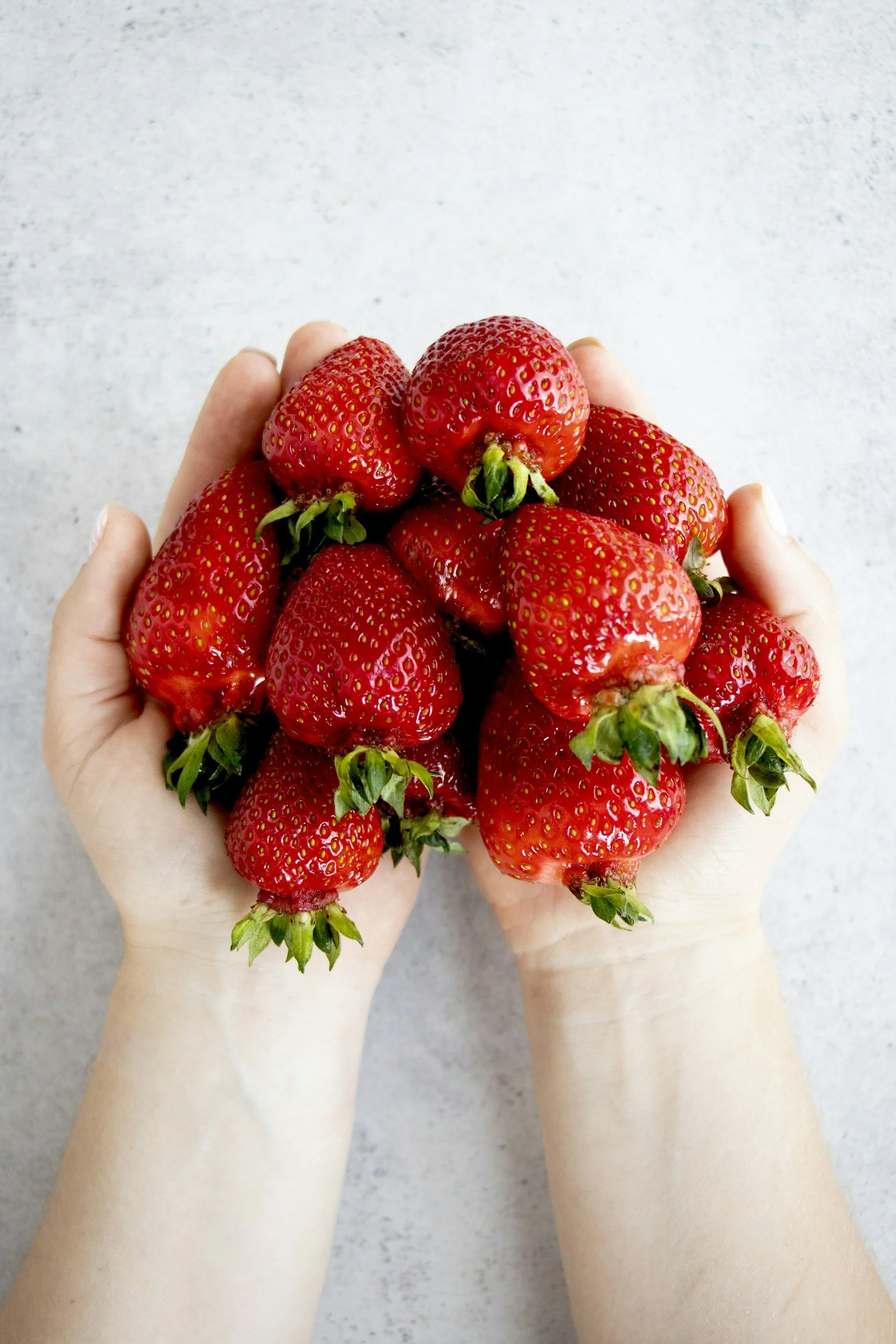 An Ohio gardener holding strawberries from a garden.