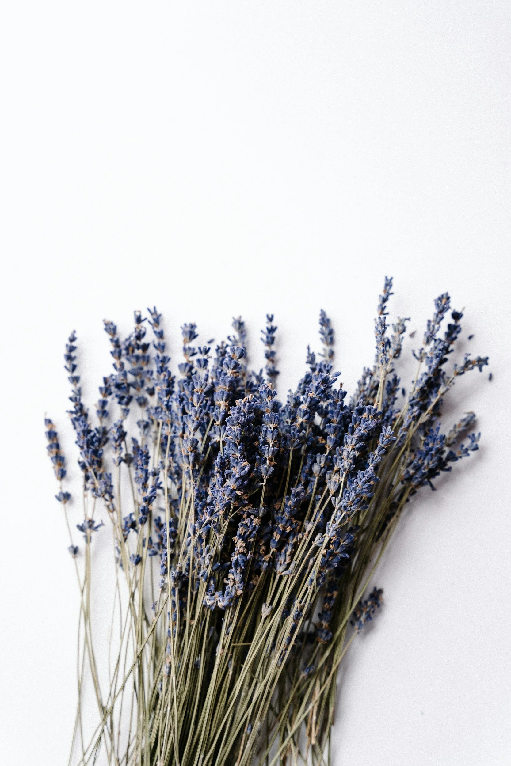 Dried Hidcote English lavender that you can grow yourself in your garden in central Ohio