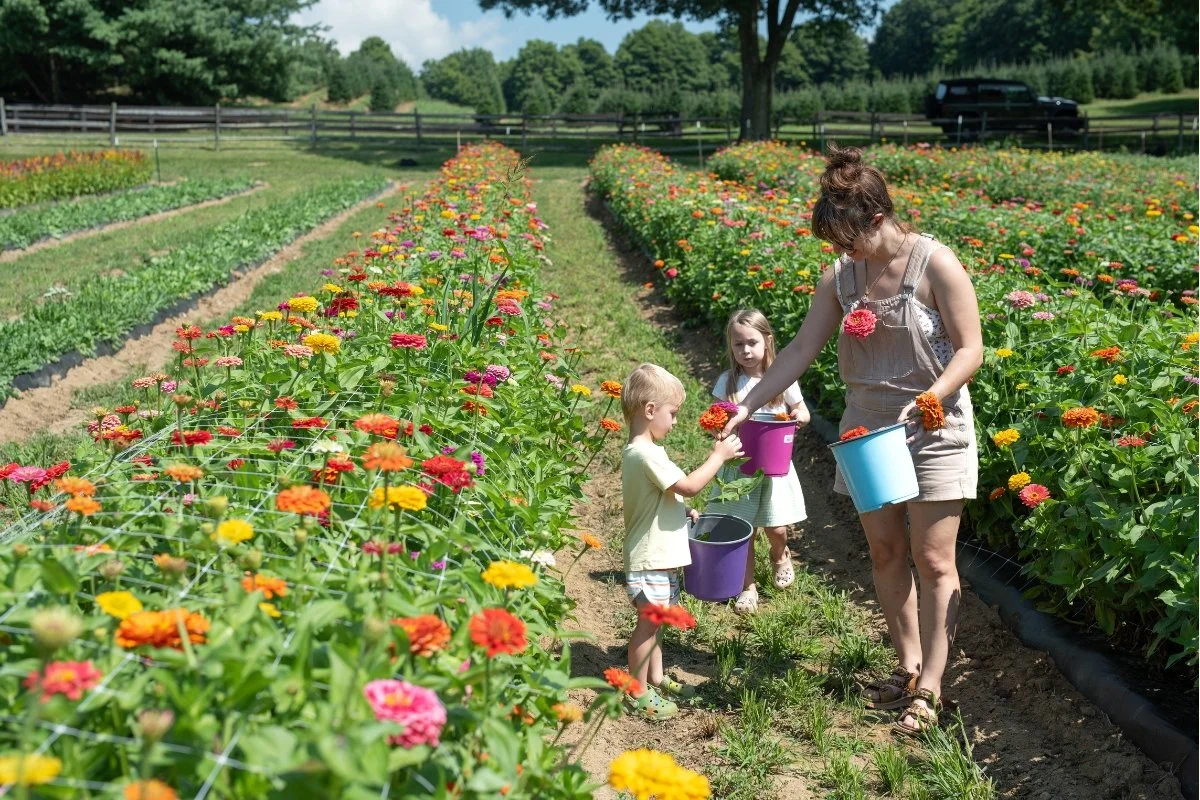 Ultimate Guide to Caroline's Flower Fields &amp; Flower Festival