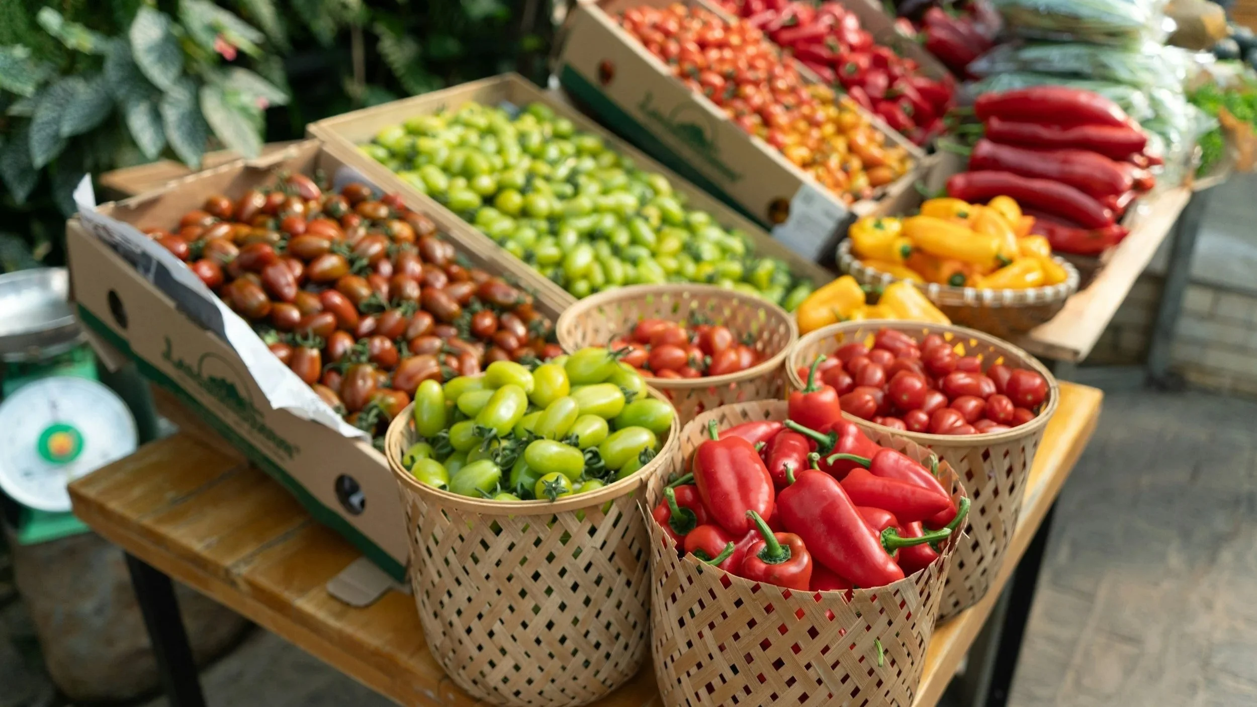 Pepper and tomato harvest from a garden in central Ohio.