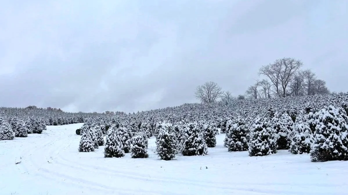 Best Family-Friendly Winter Events in Ohio 2025