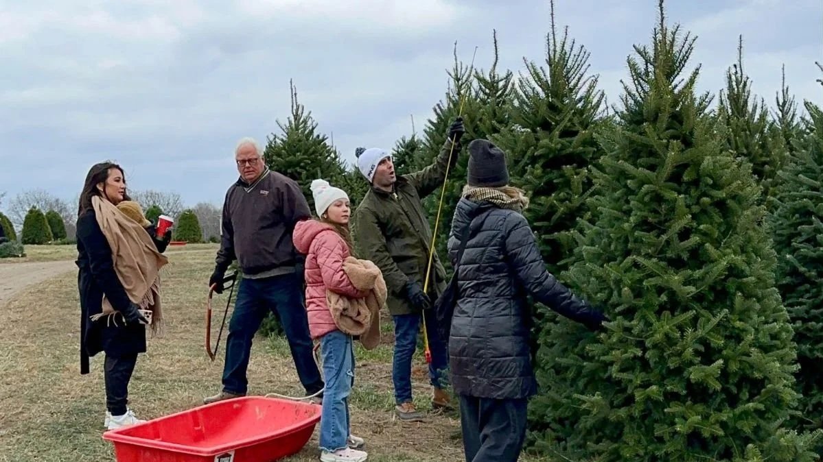 People enjoying picking out a Christmas tree in Ohio at Timbuk Farms cut-your-own tree farm in Ohio