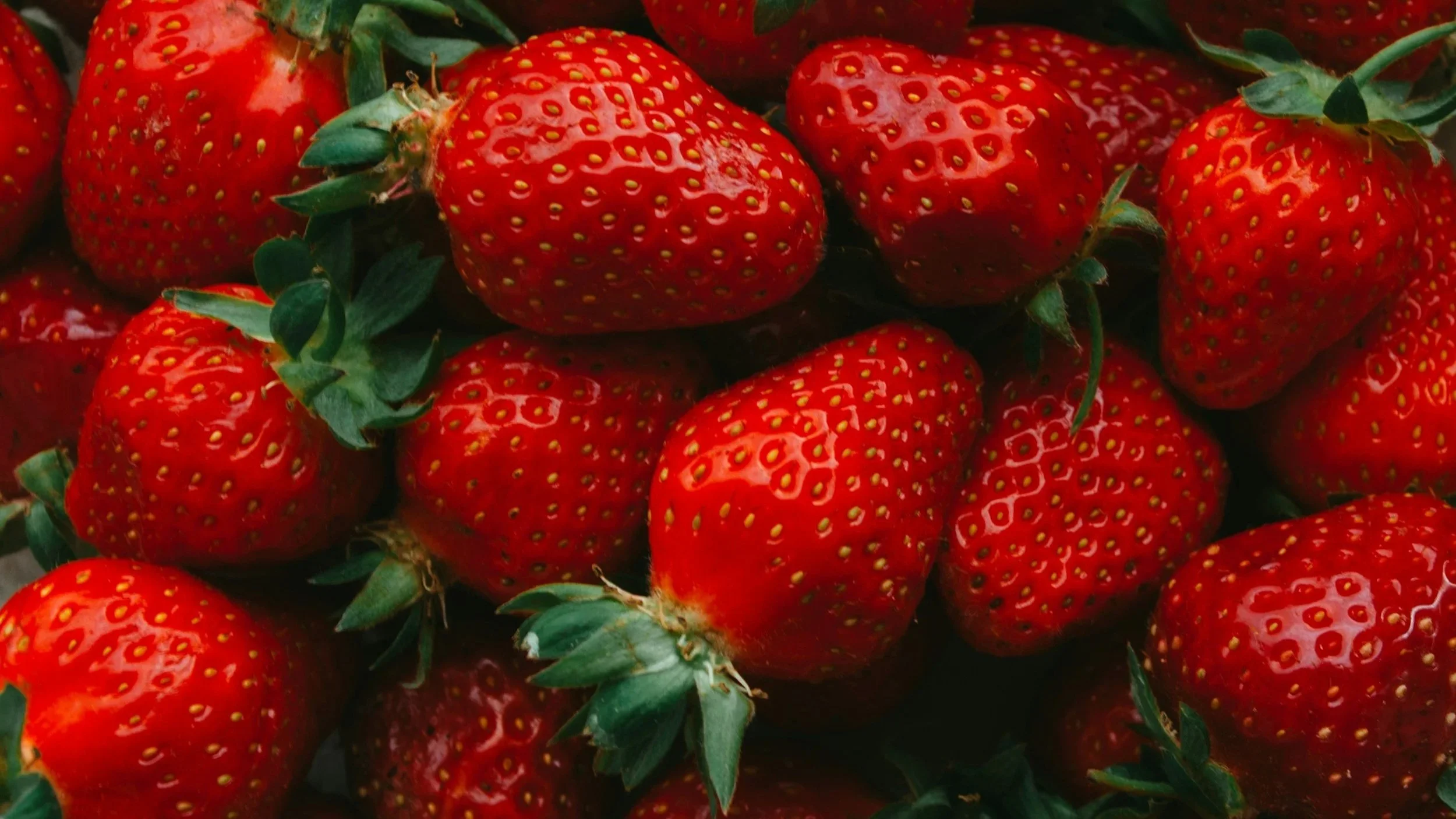 Fresh, red, homegrown strawberries from an Ohio garden
