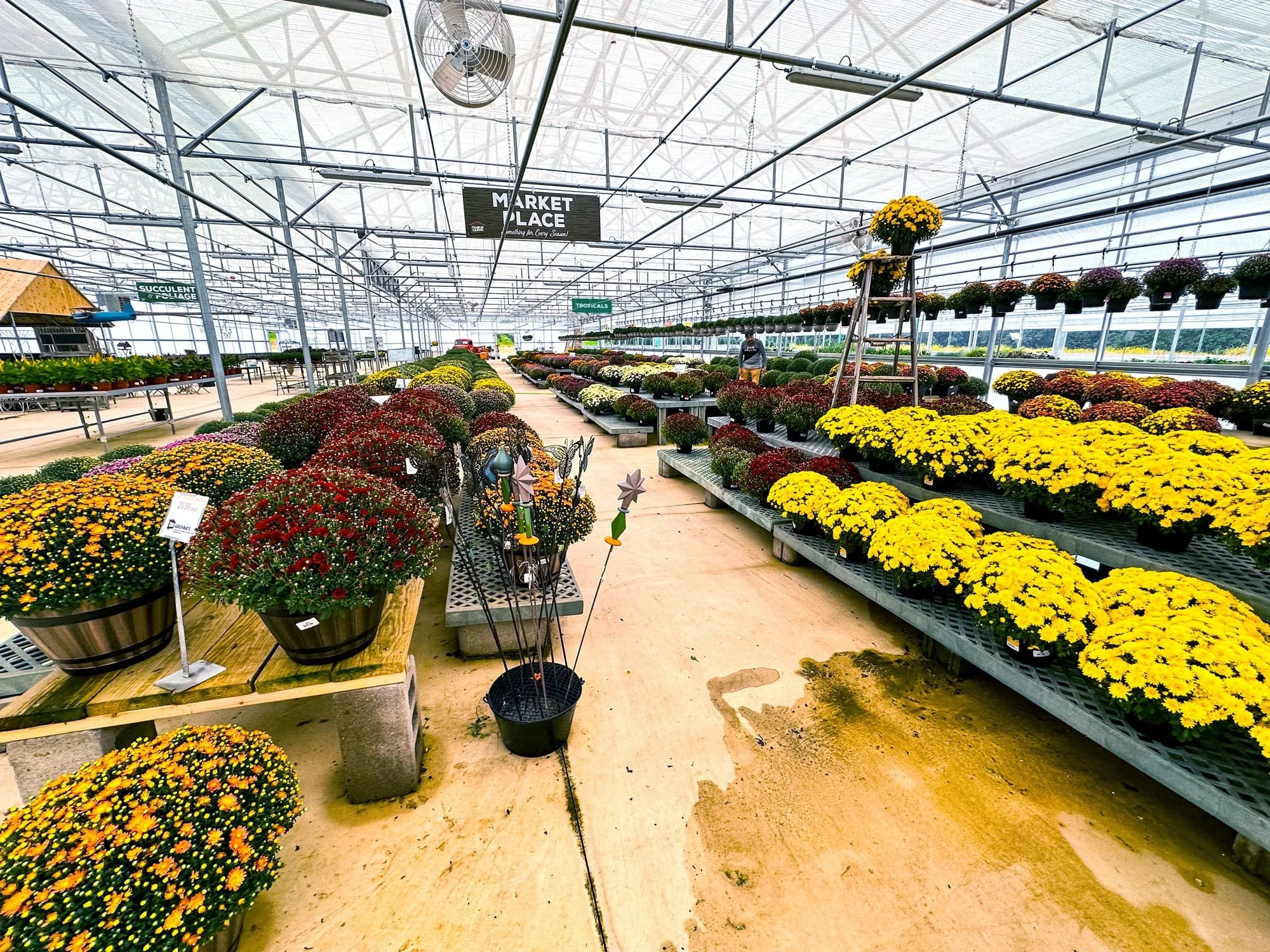 Ohio’s Top Garden Center with Locally Grown Plants — Timbuk Farms