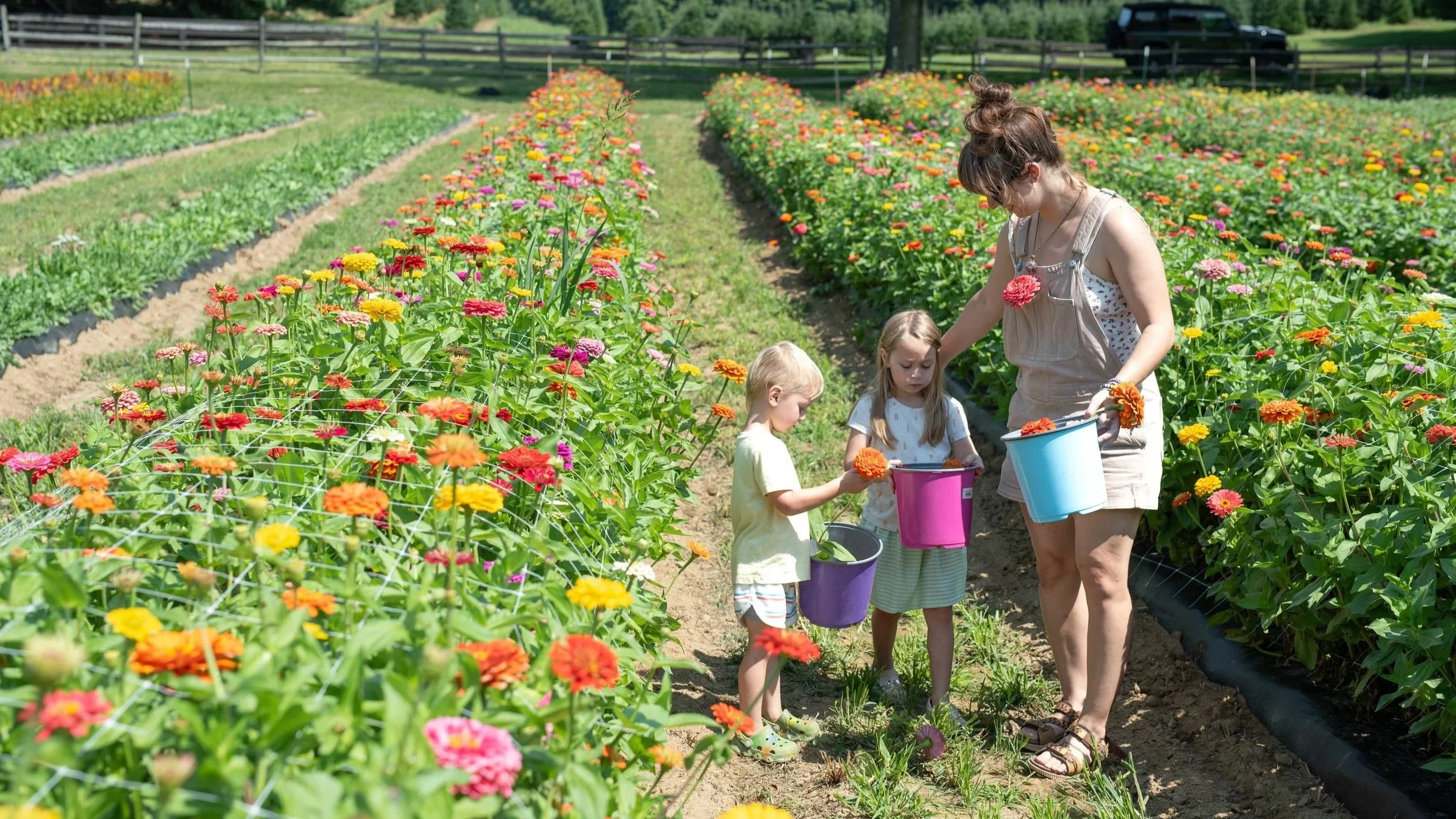 An Ohio mom and her kids enjoying the cut flower fields at Timbuk Farms flower festival that is family-friendly in Ohio.