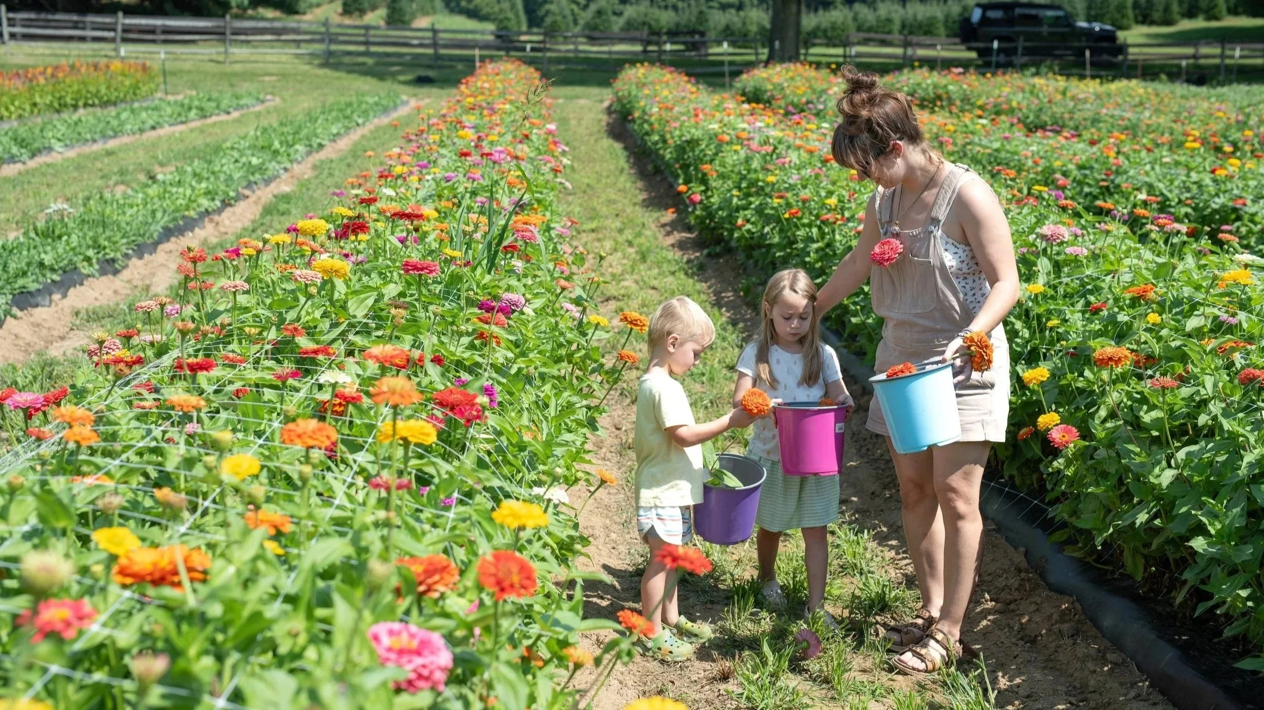 U-pick flowers at a flower field in Ohio at Timbuk Farms with a family picking flowers