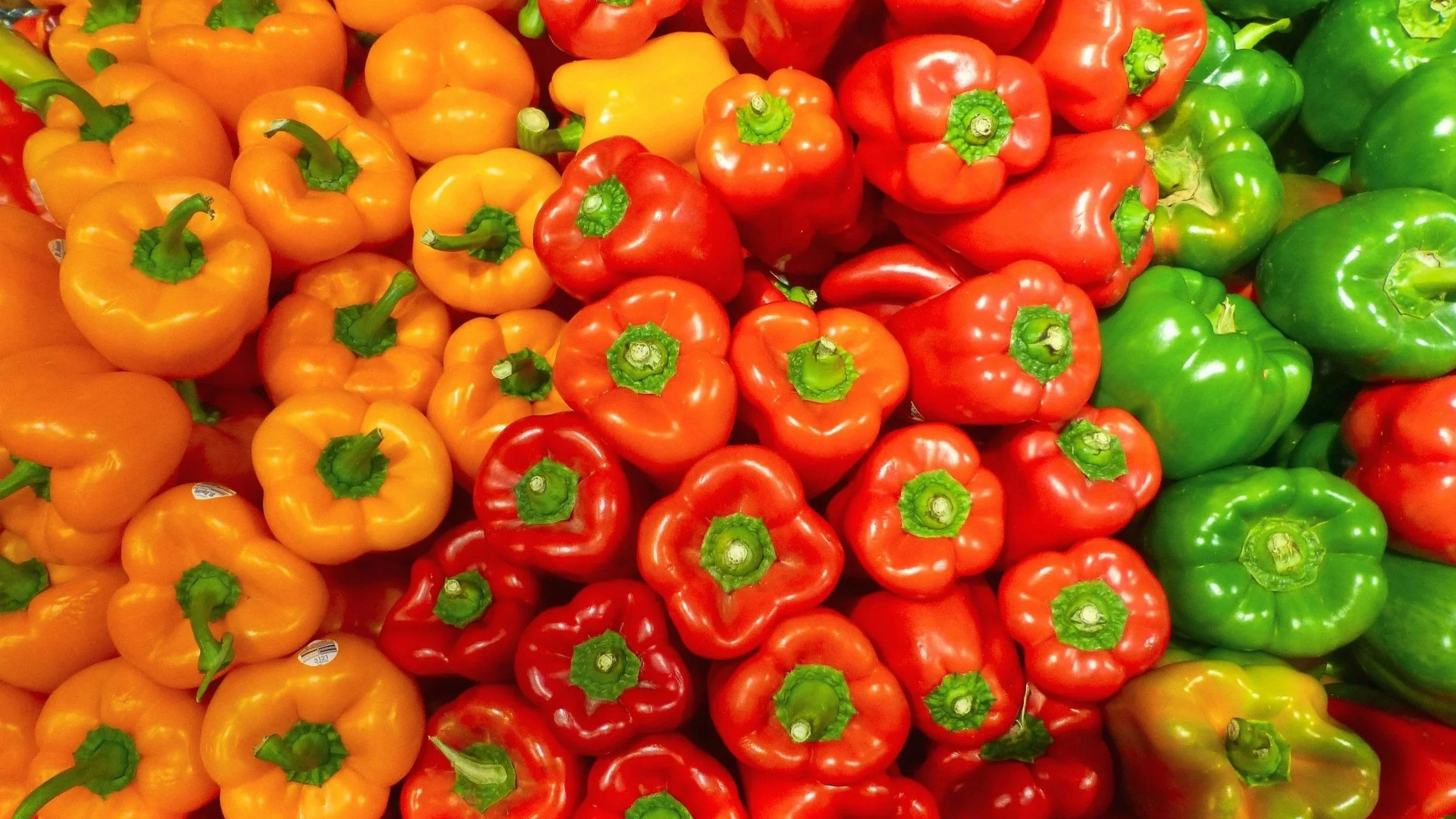 Orange, red, and green peppers from an Ohio garden.
