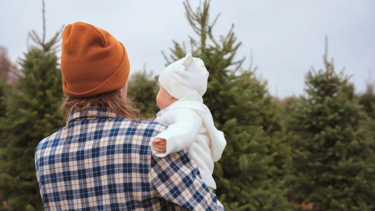 How To Pick Your Perfect Christmas Tree — Timbuk Farms & Garden Center