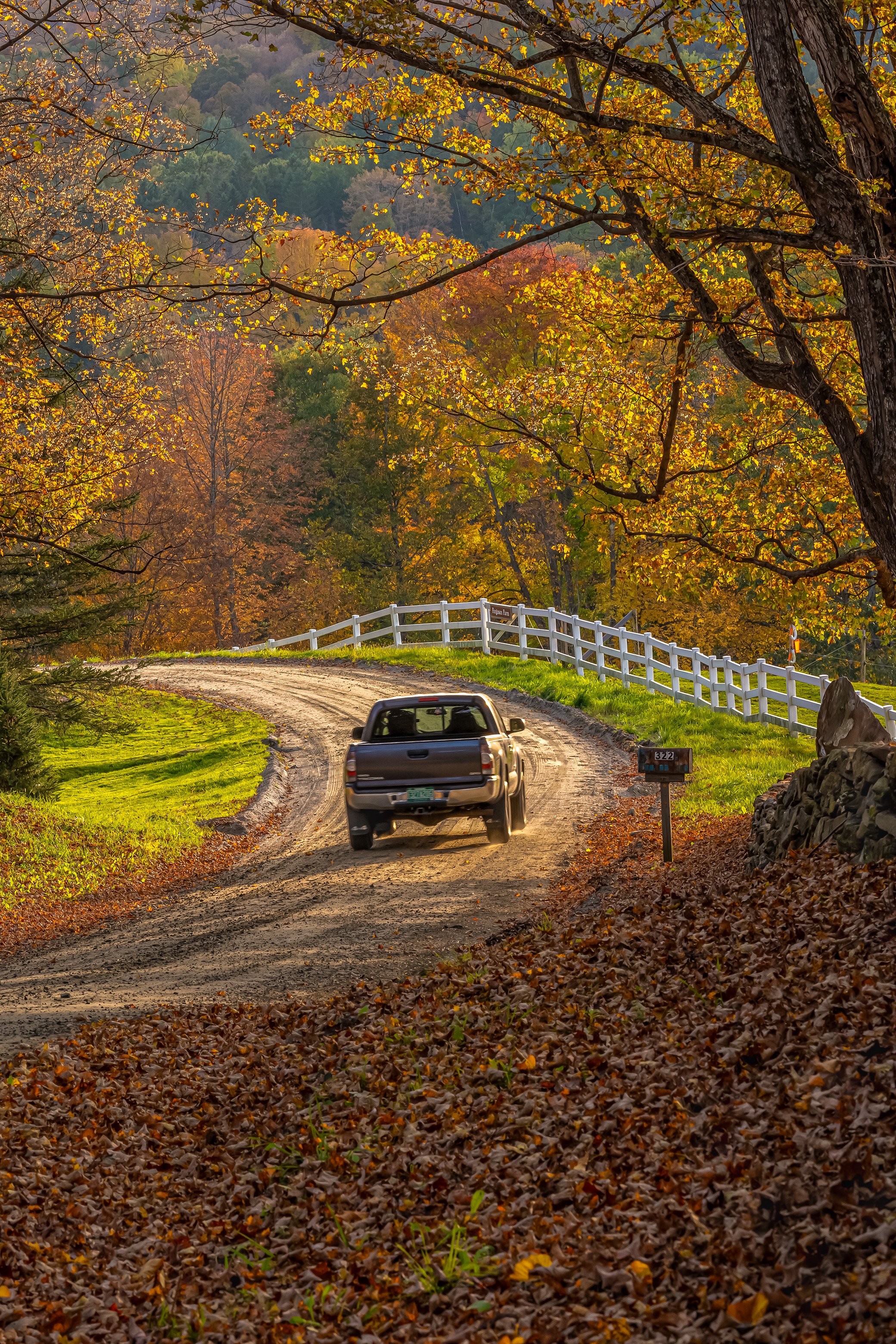 2023_10_Vermont Foliage_S01170.jpg