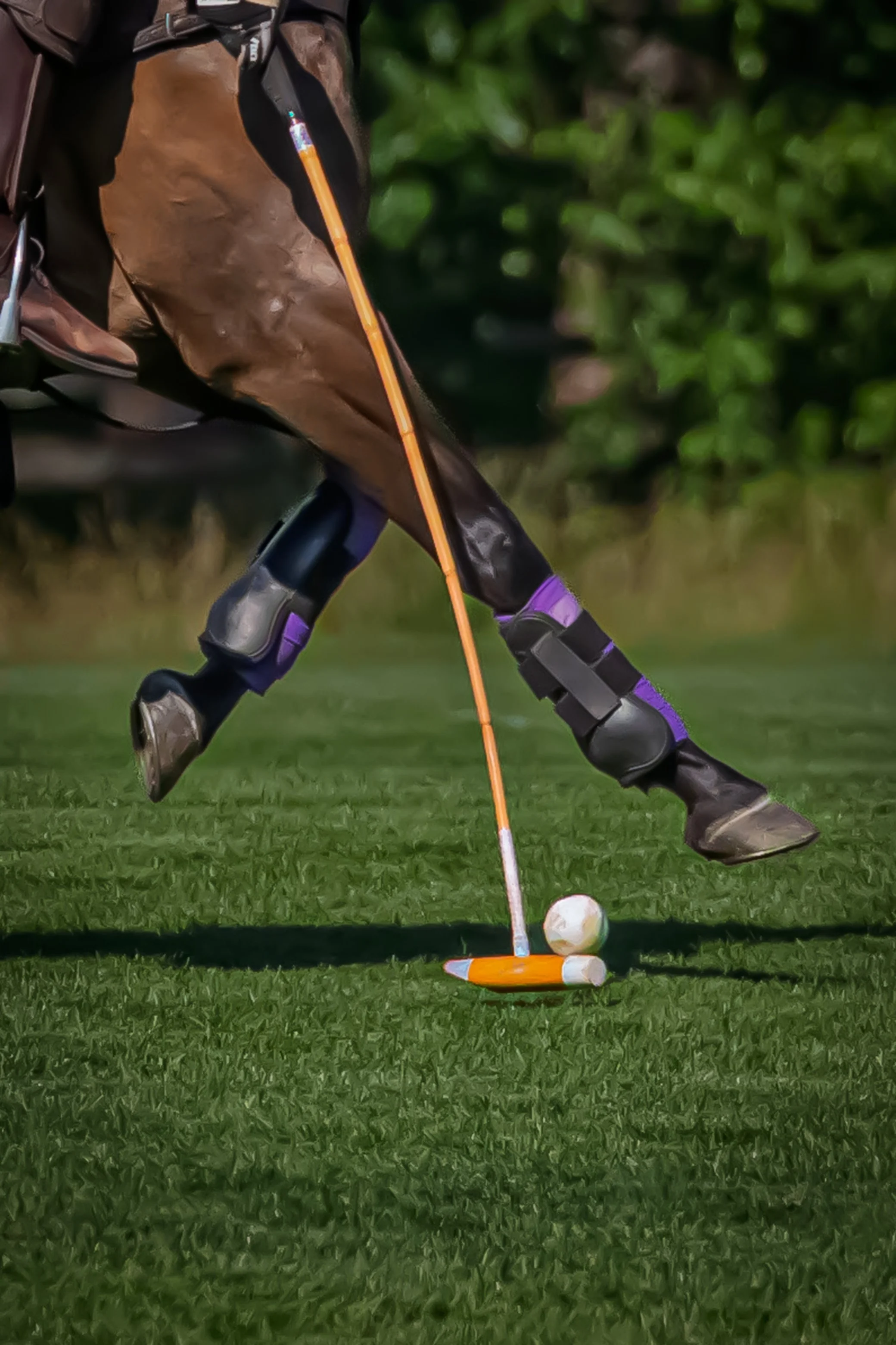 2026_06_28 Polo  S3-0744-2.jpg