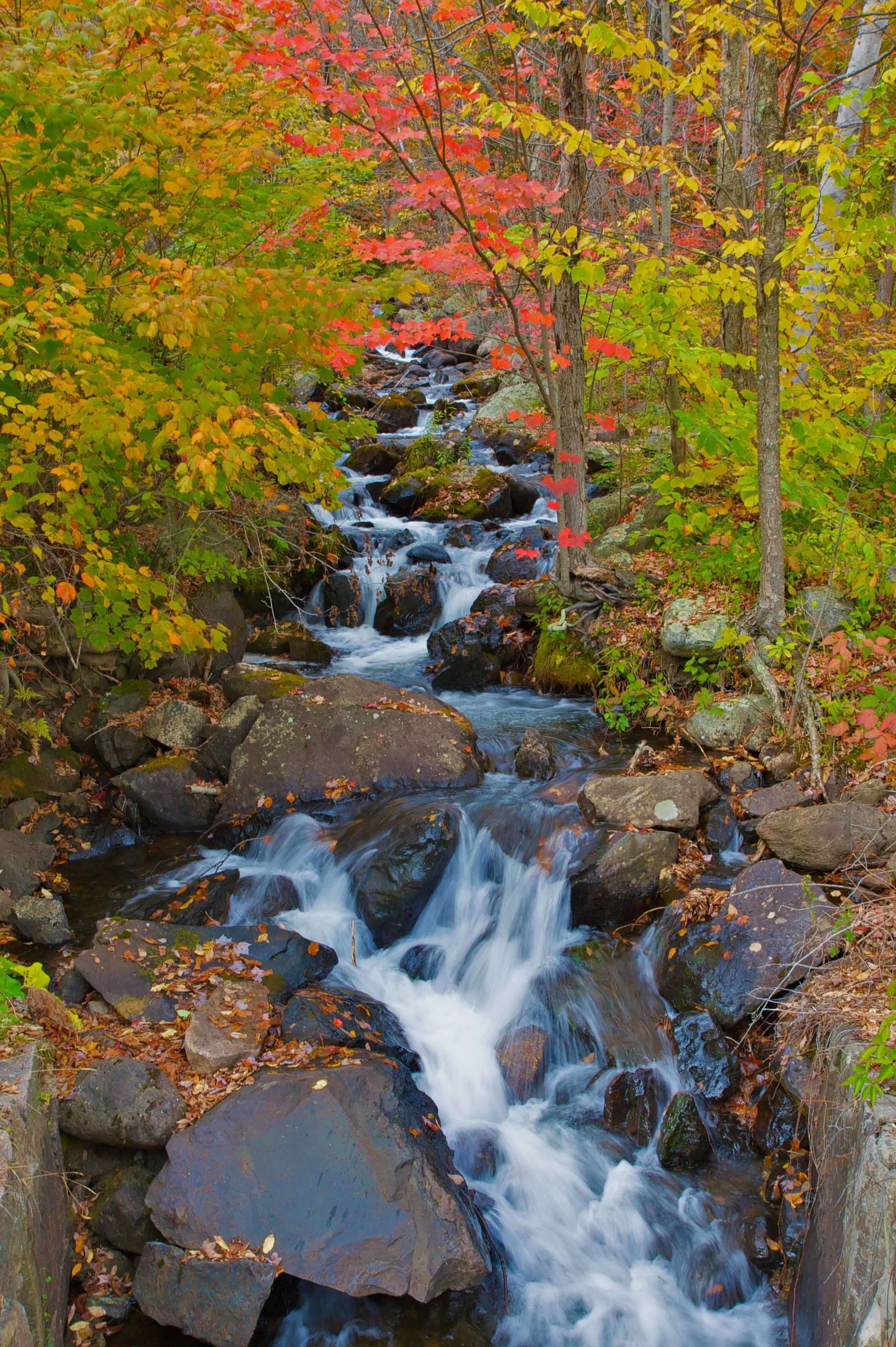 NH Fall Foliage_IMG_5241 - Version 2.jpg