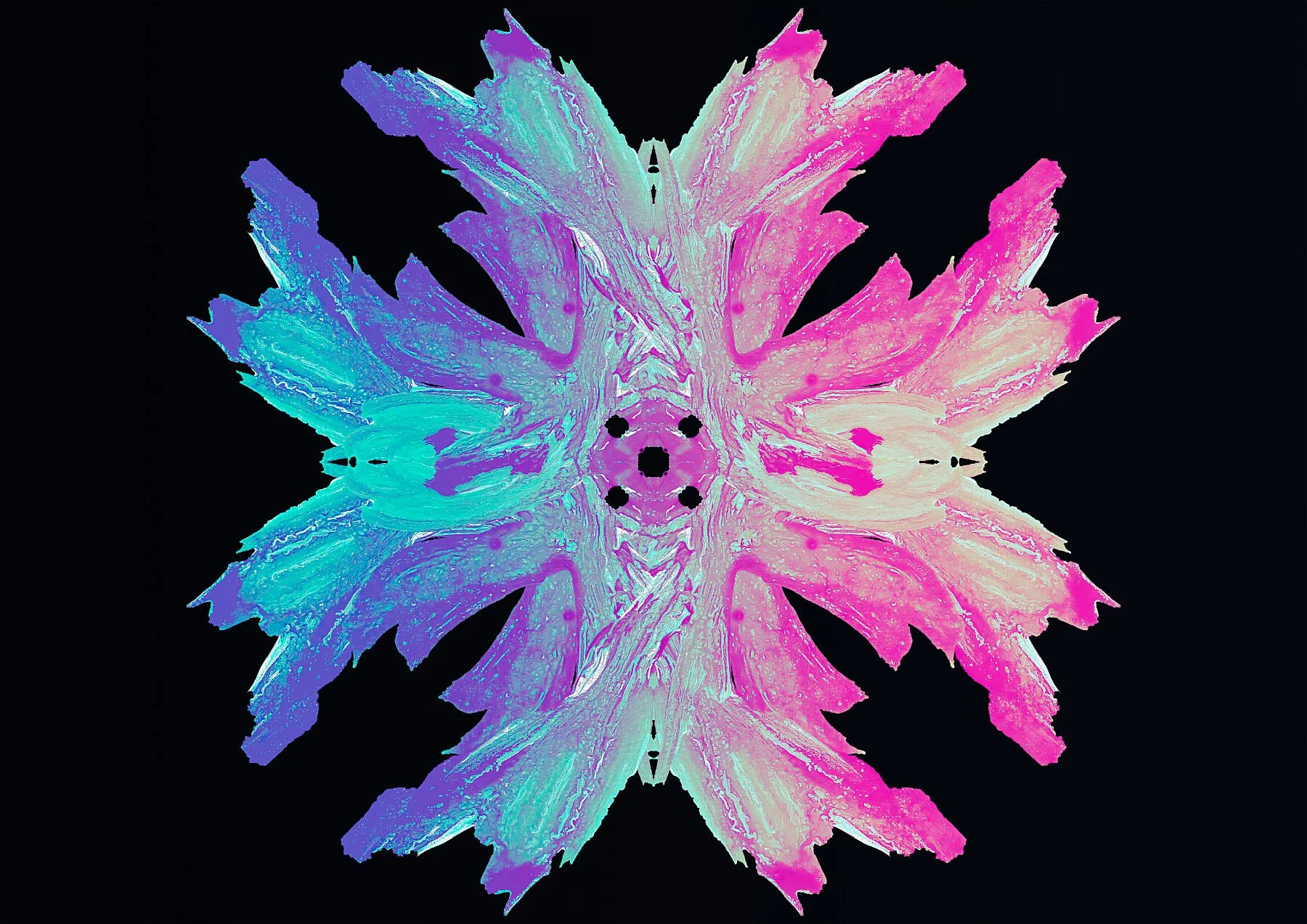 Coral Seraphim