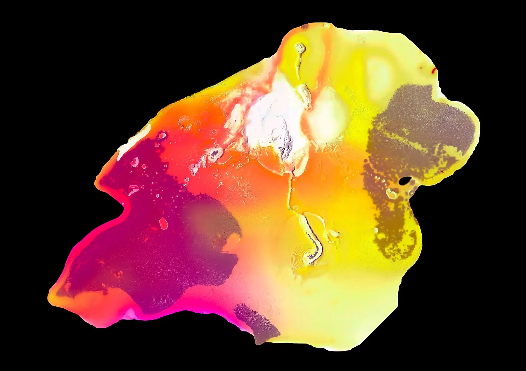 Cow's head stain