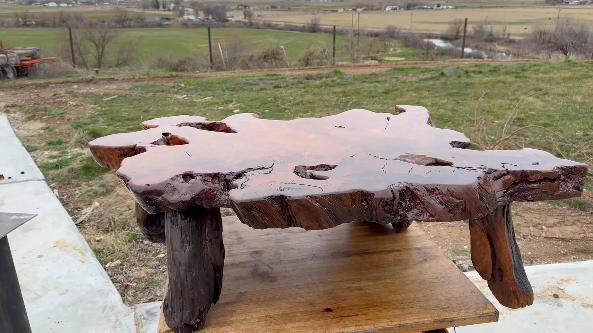 Just finished this Redwood burl coffee table that was rescued from a dumpster in California