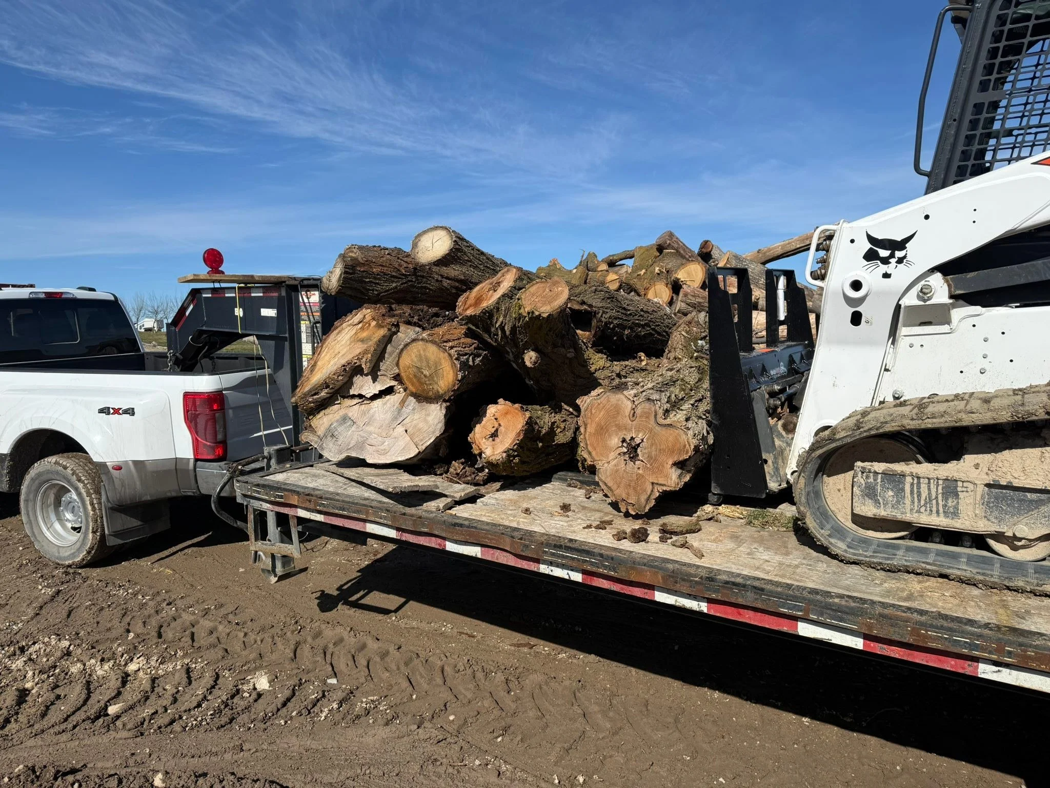 Last load for a while. This is black locust and a mystery tree
