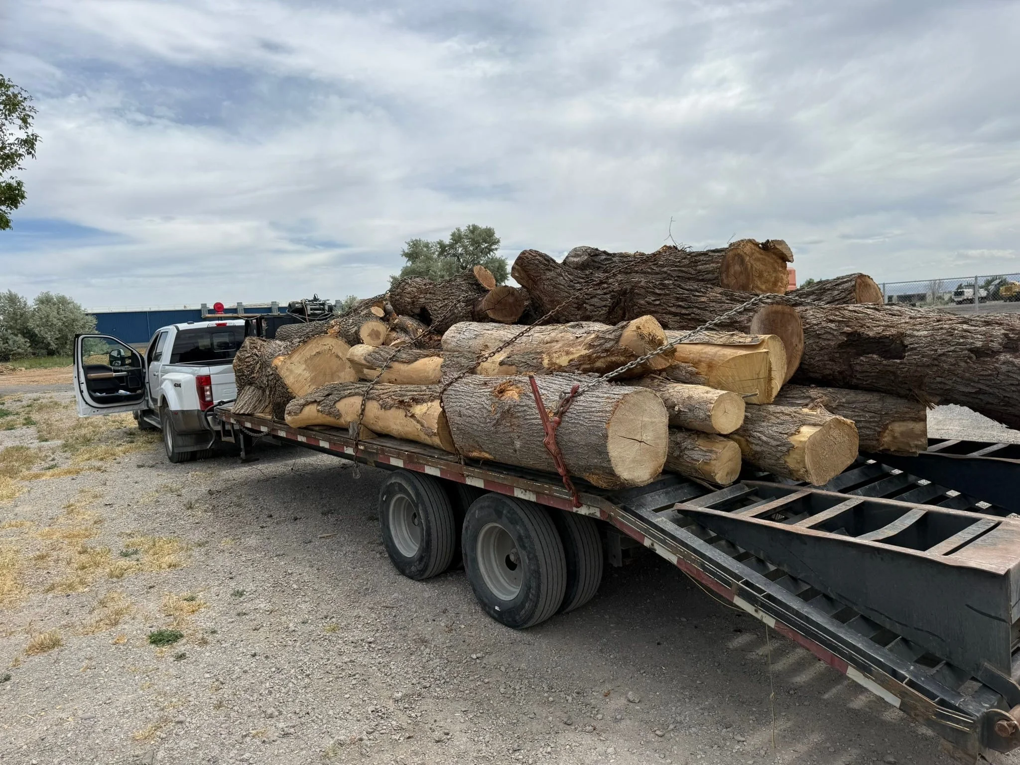 All the way to Twin Falls, Idaho for this load of Ash, Elm, and Walnut.