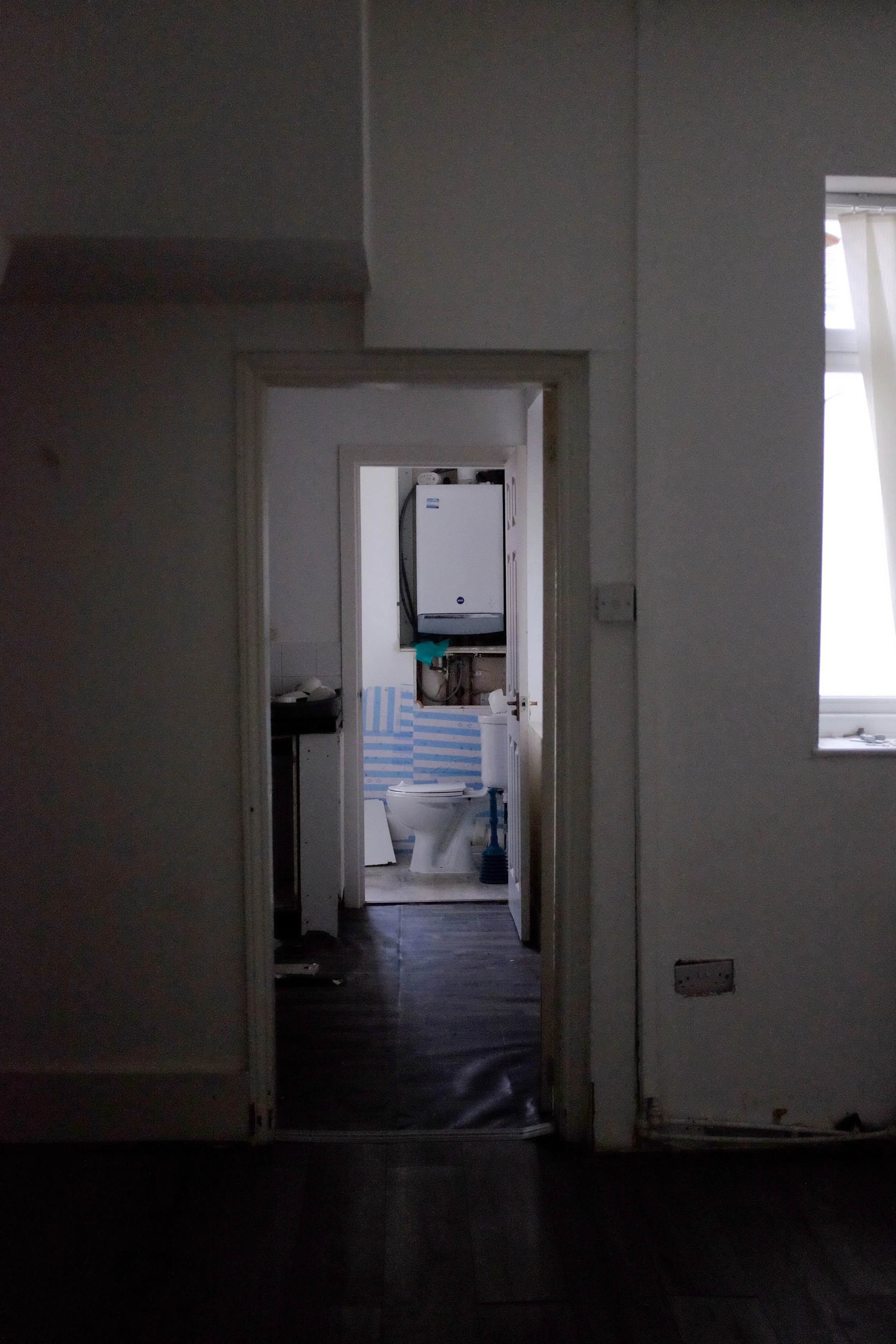 DSCF5487-2.jpg