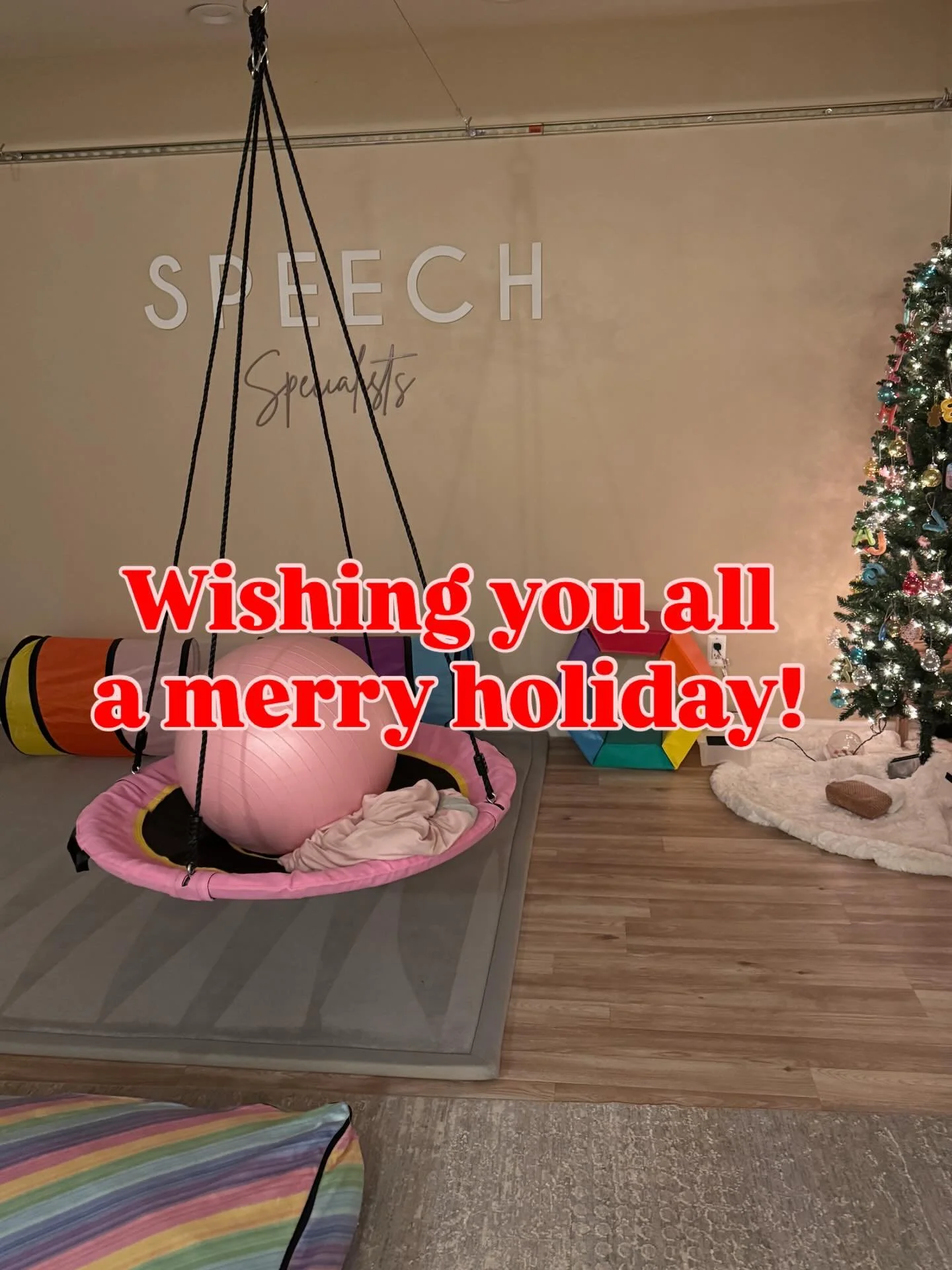 Happy holidays everyone! #happyholidays #merrychristmas