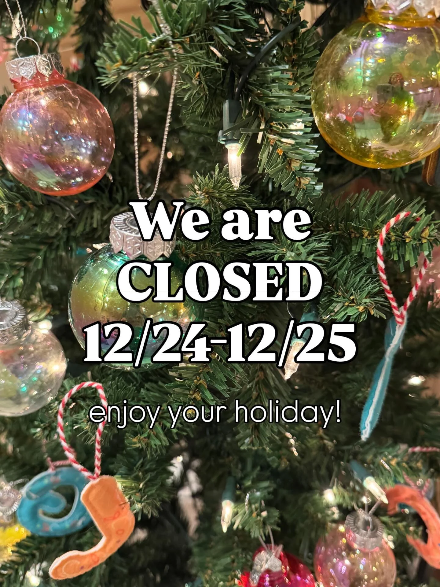 We are closed 12/24 and 12/25! Enjoy your holiday week!