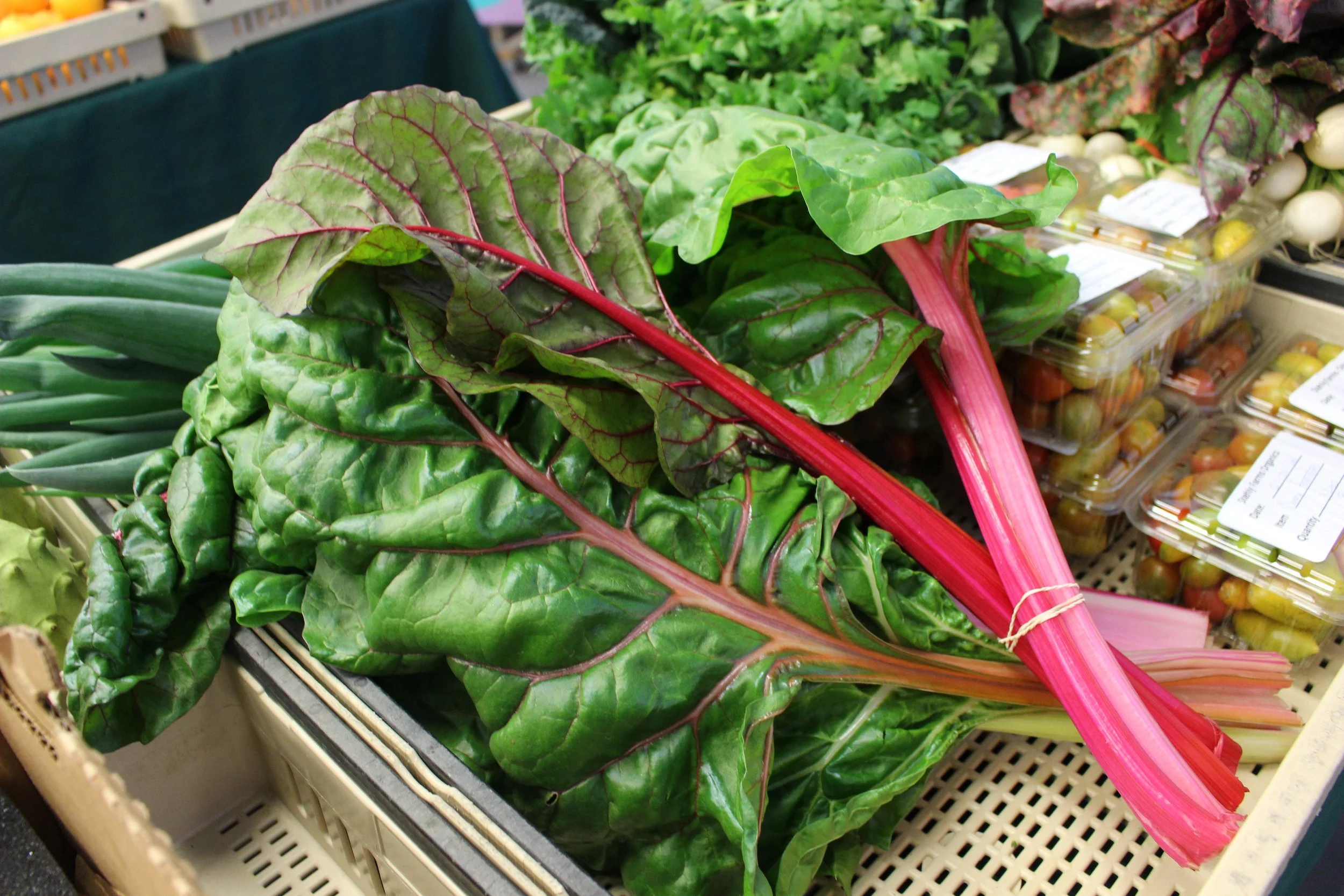 Swiss Chard