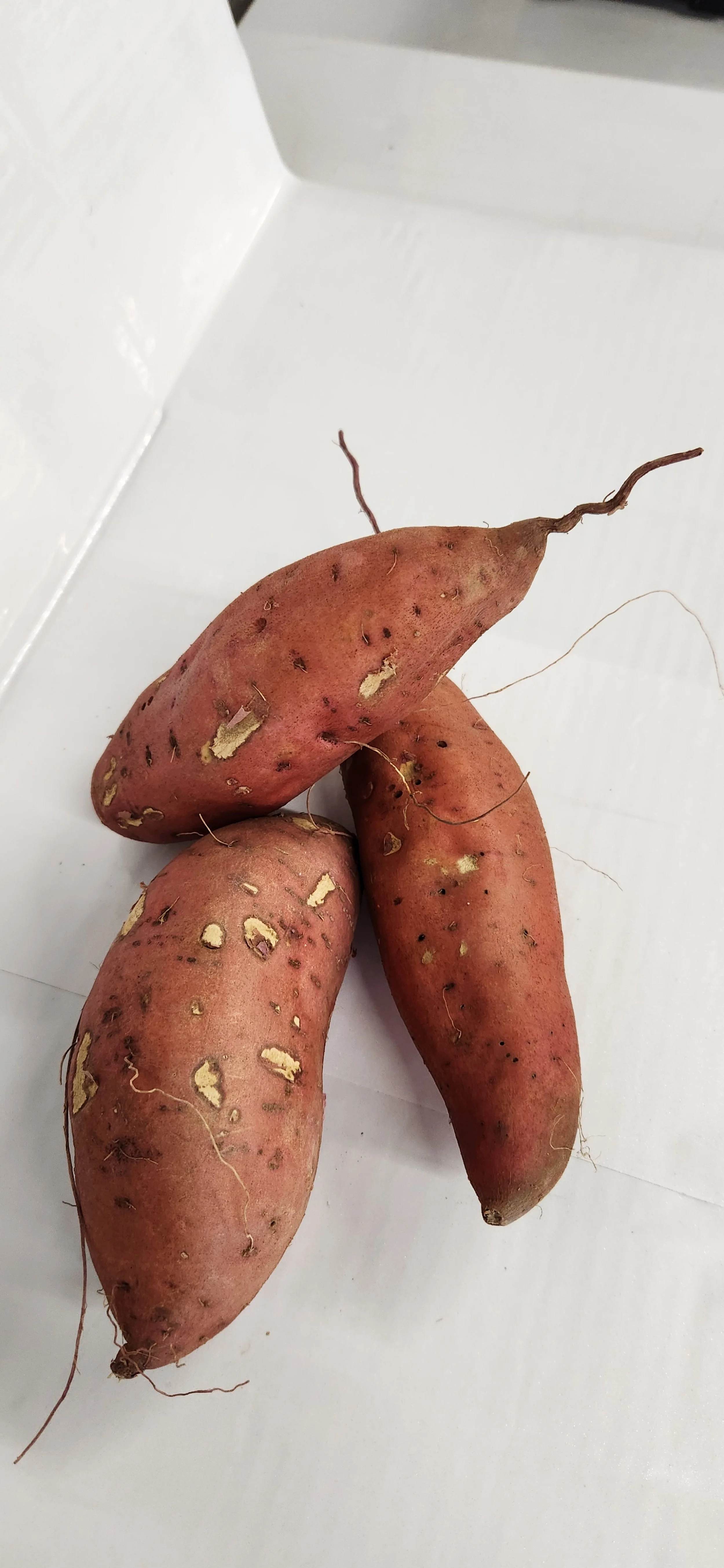 Sweet Potatoes