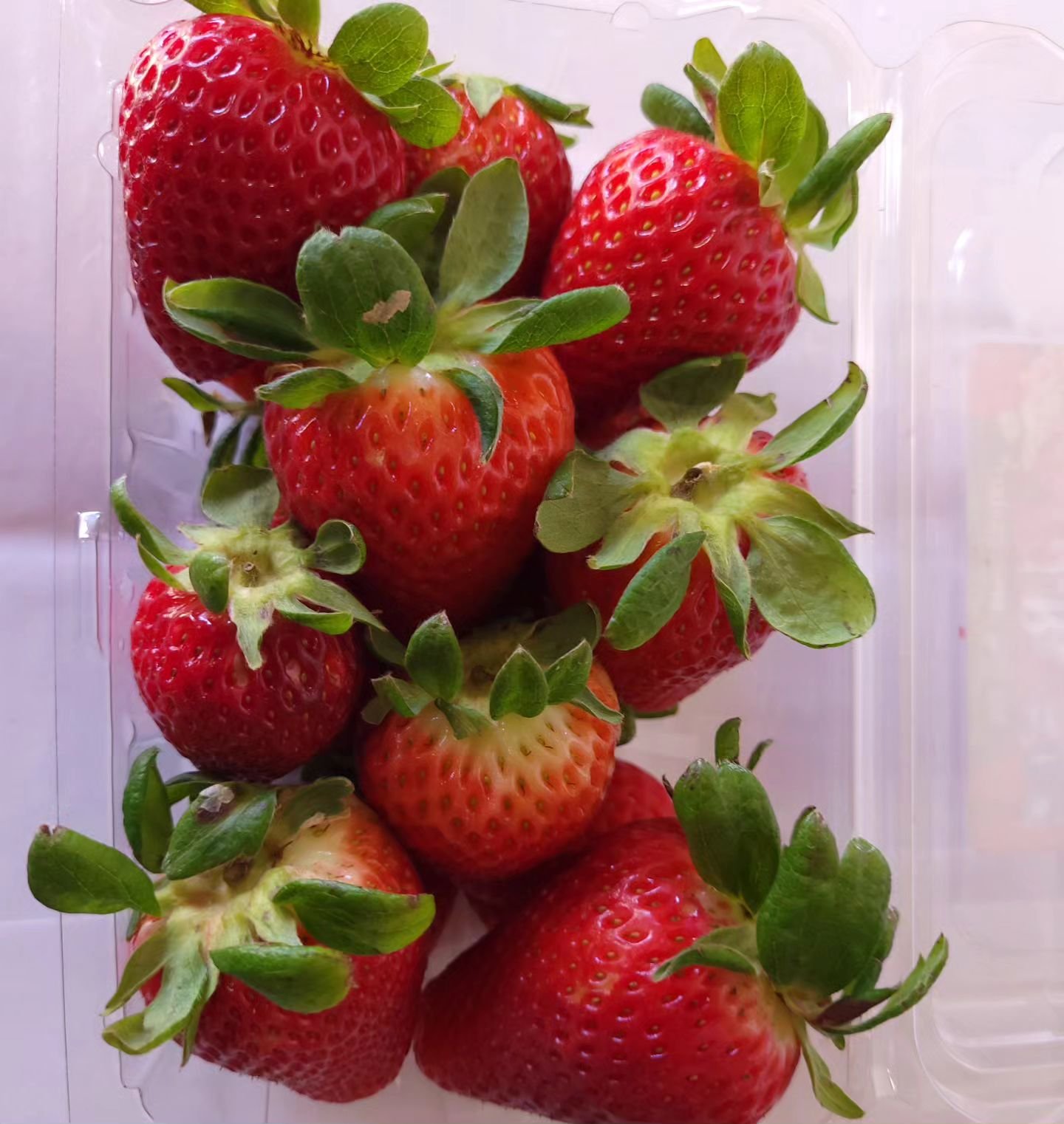 First strawberries of the season! Sweet and crunchy goodness! Find them at the Market next Saturday 🍓