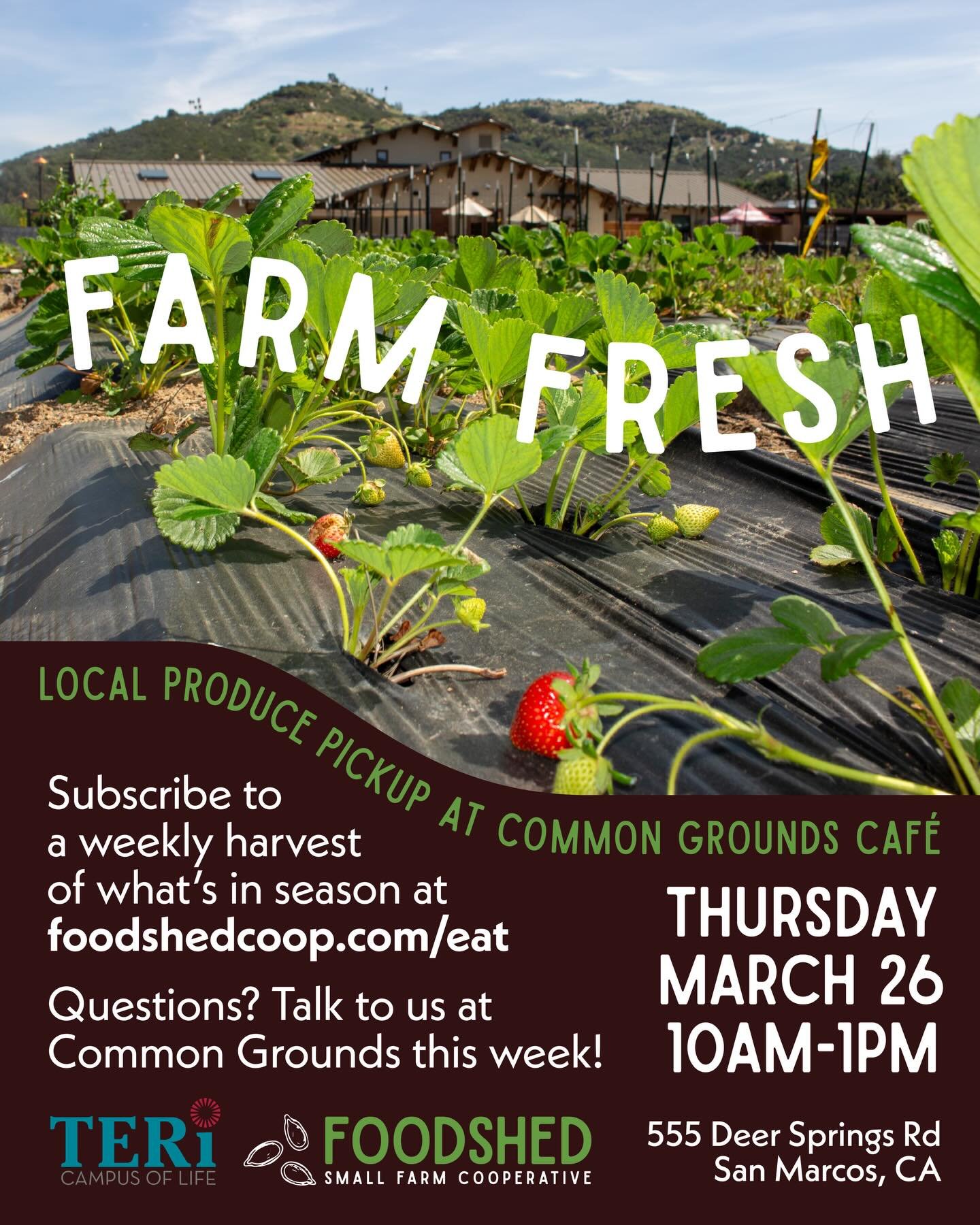 At @tericampusoflife, you can access amazing programs, experience theater and live music, enjoy lunch at Common Grounds Caf&eacute;, AND pick up fresh, local produce.

@tericommongrounds is a pickup location for Foodshed farm boxes, which bring you o