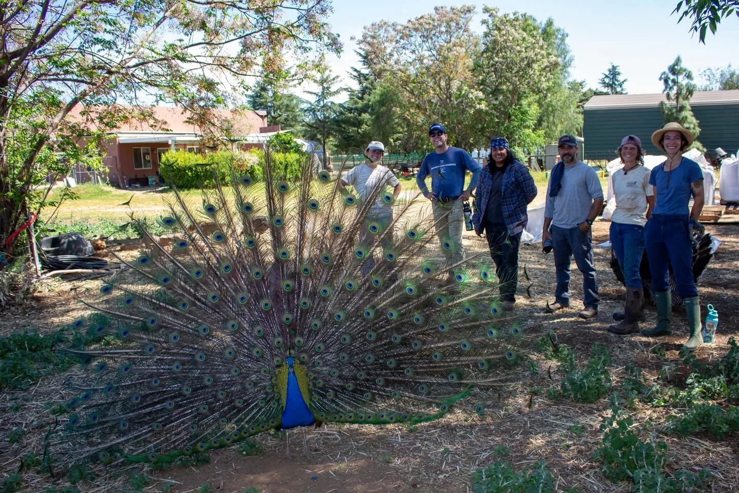 The ✨power of cooperation✨ transforms land into healthy fields and apprentices into seasoned farmers. Our beginning farmer apprentices helped Michelle of @black_mtn_farm open two new vegetable fields! Swipe to see the before and after.
Michelle&rsquo