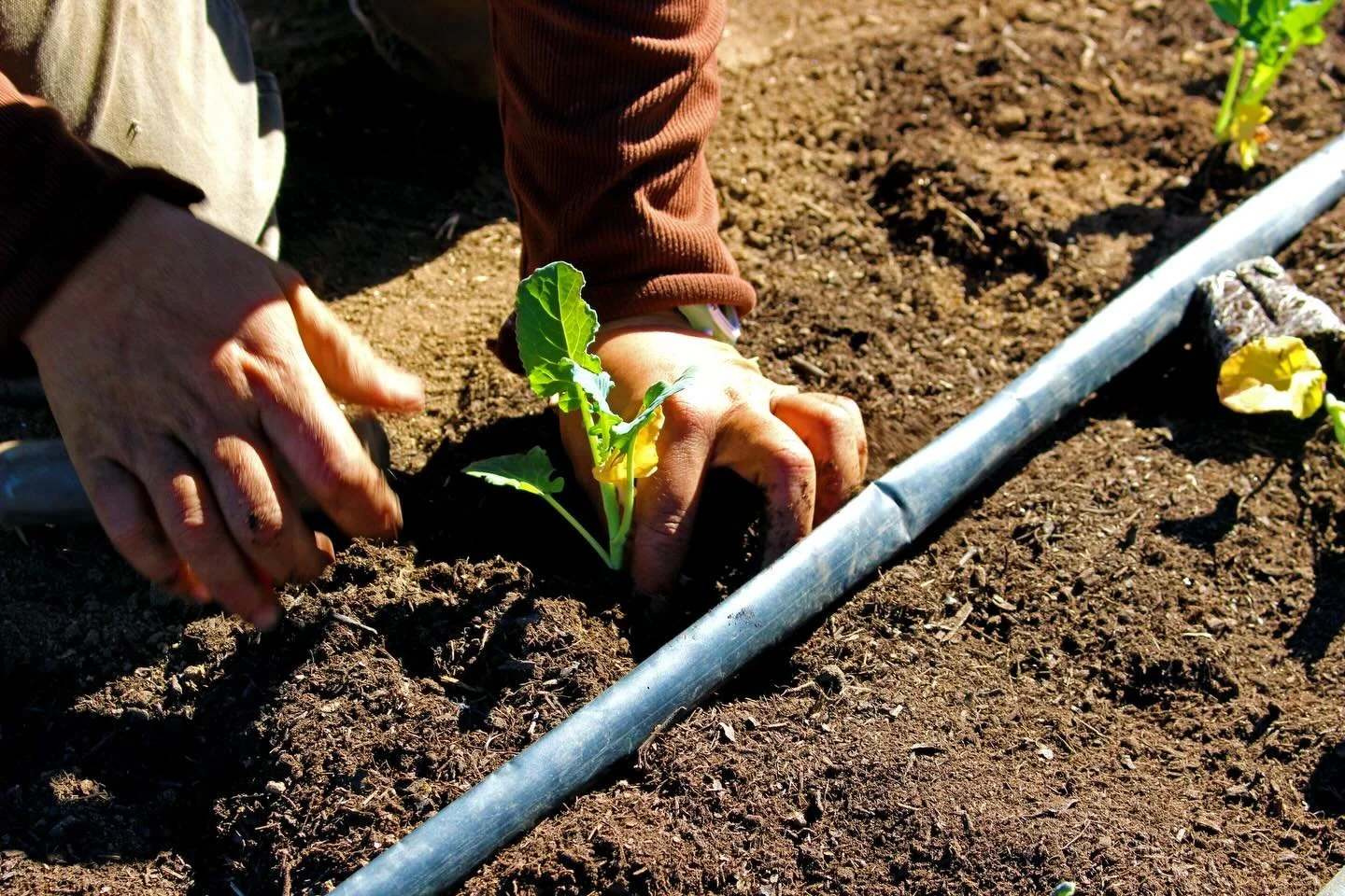 Our Earth can support so much life, but it is not infinite. We can extract from it and live at the expense of other lifeforms and future generations, or we can regenerate it, nourishing it as it nourishes us.
This planet is huge, as are the problems 