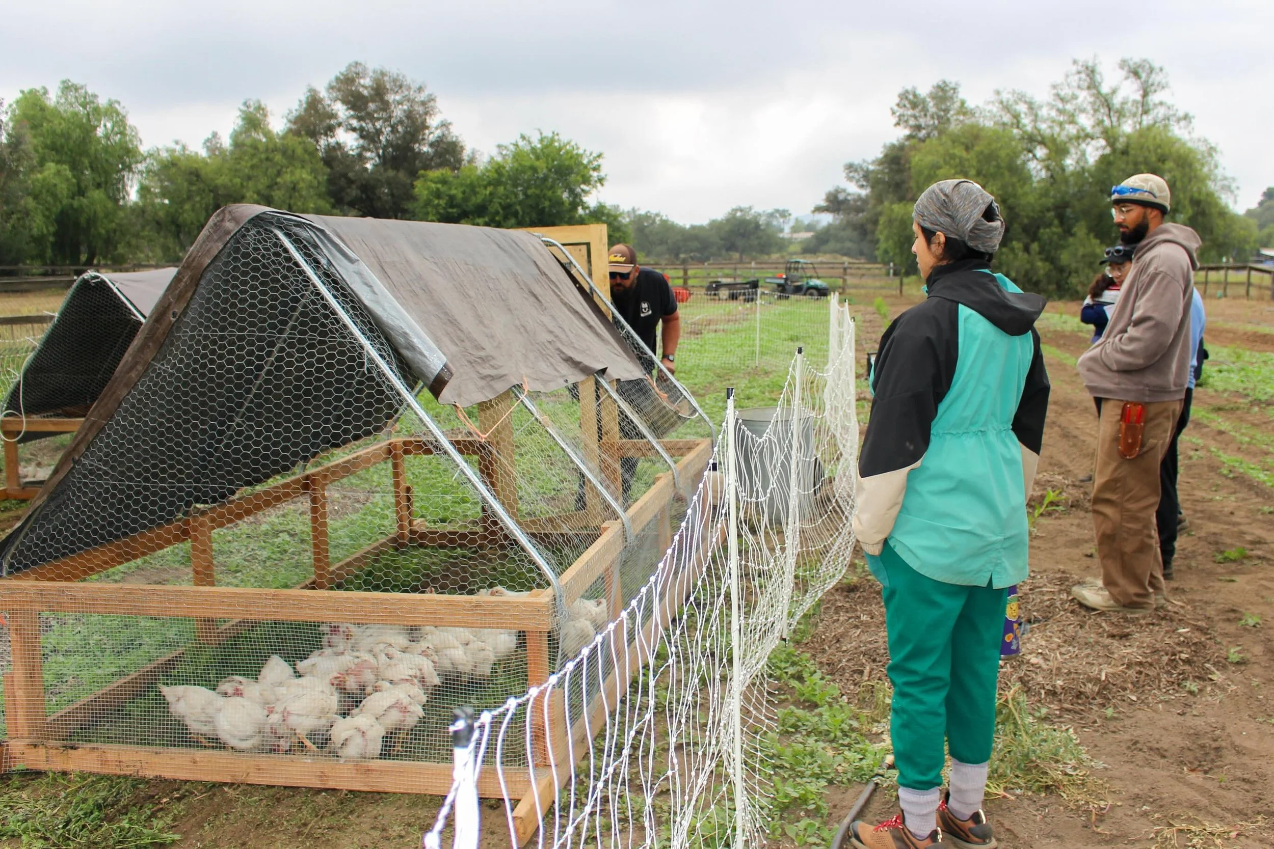 Over the weekend, @solidarityfarmsd held their final agroforestry demonstration with @rcdsandiego. Community members gathered on the land to learn how to cooperate with an ecosystem of trees, animals, native plants and pollinators, water, and soil to