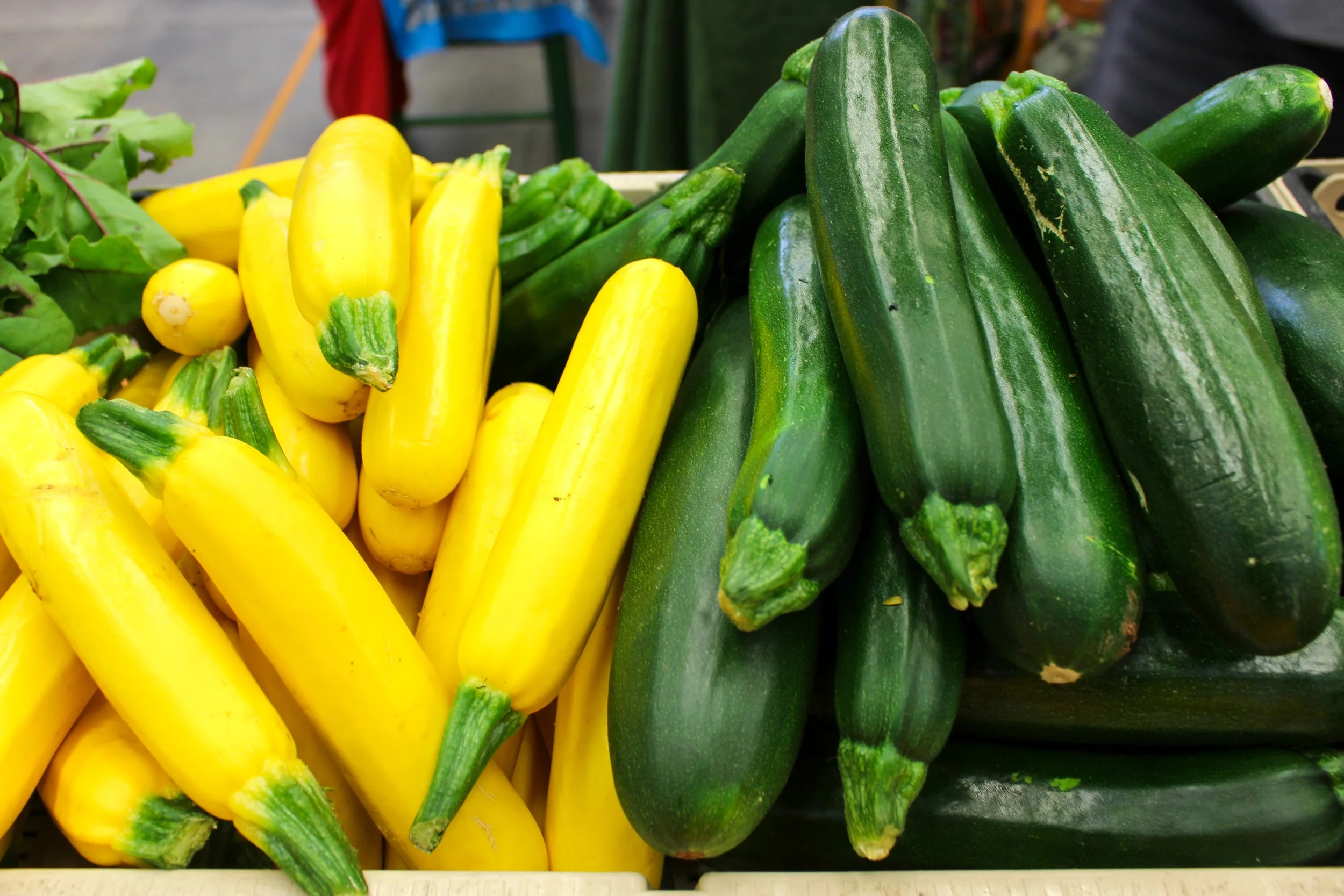 Summer Squash