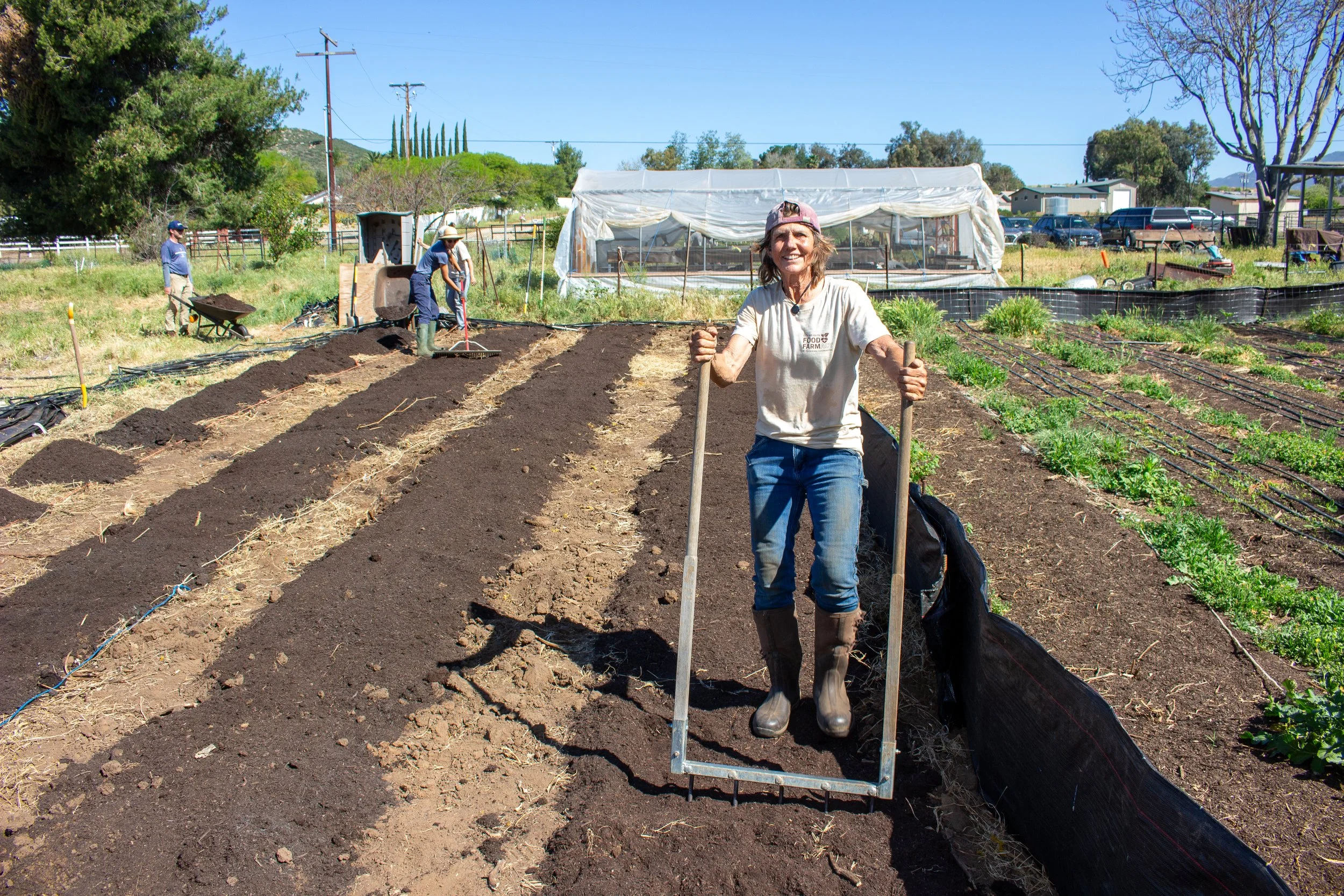 Black Mountain Farm