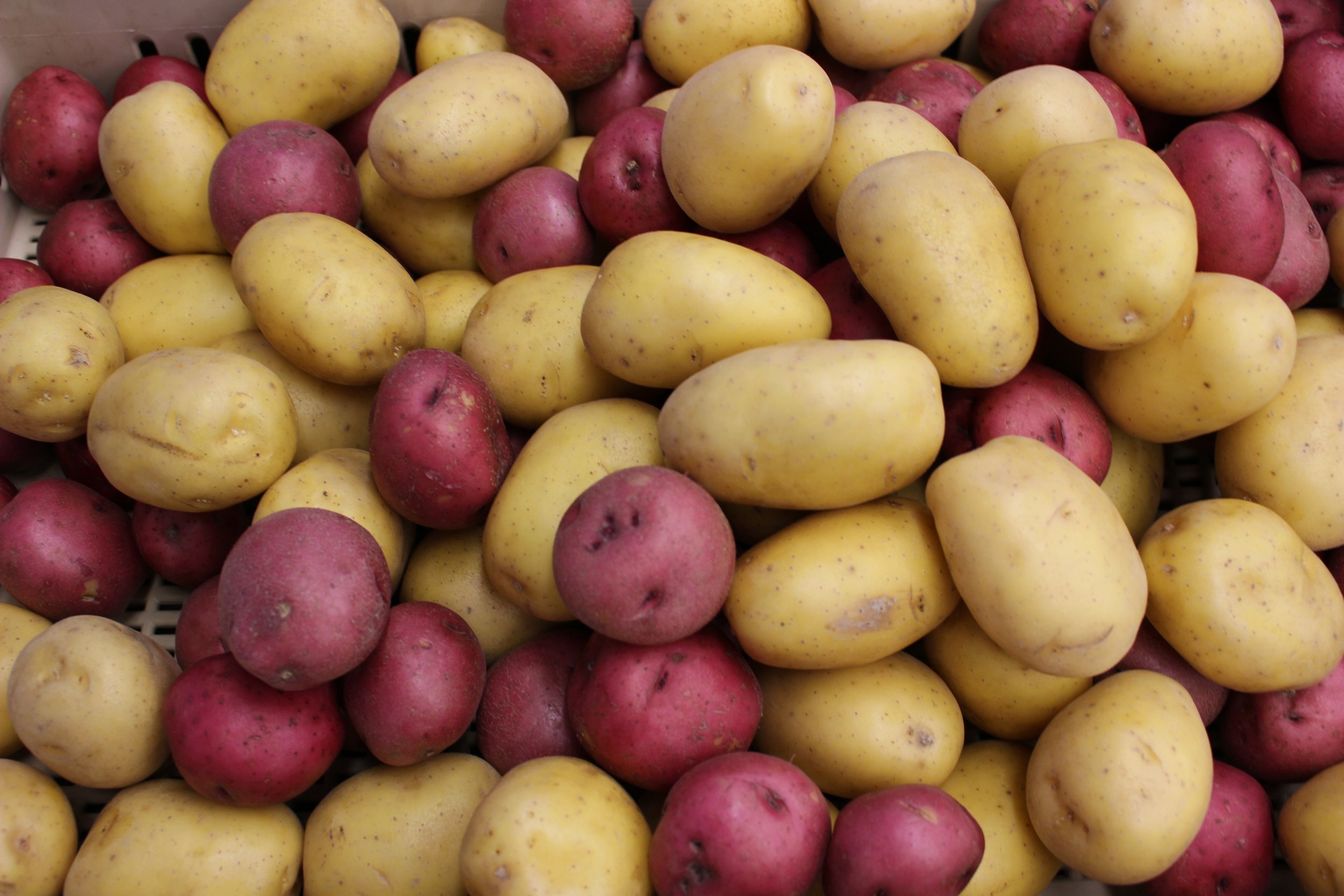 Potatoes