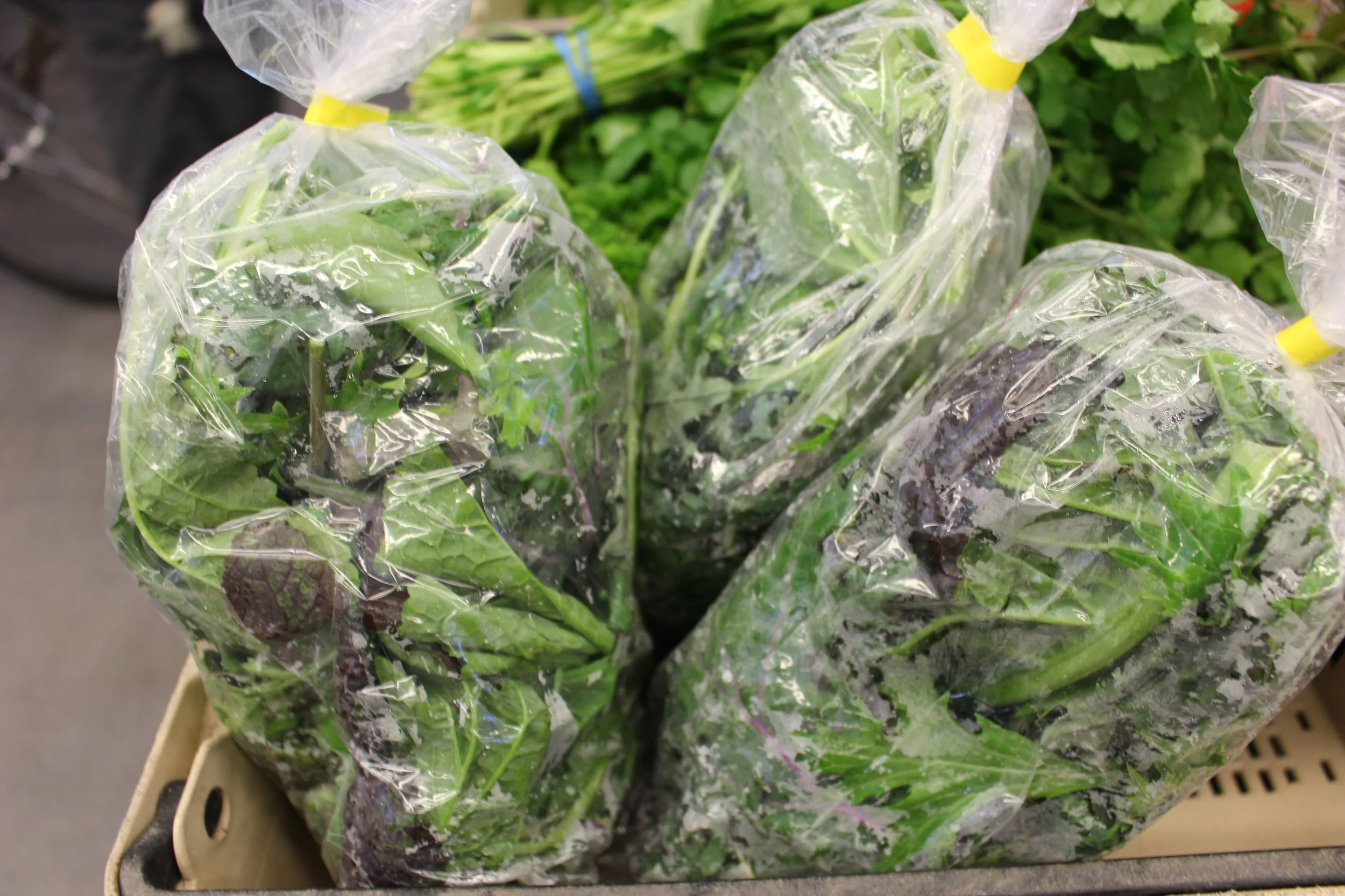 Salad Mix