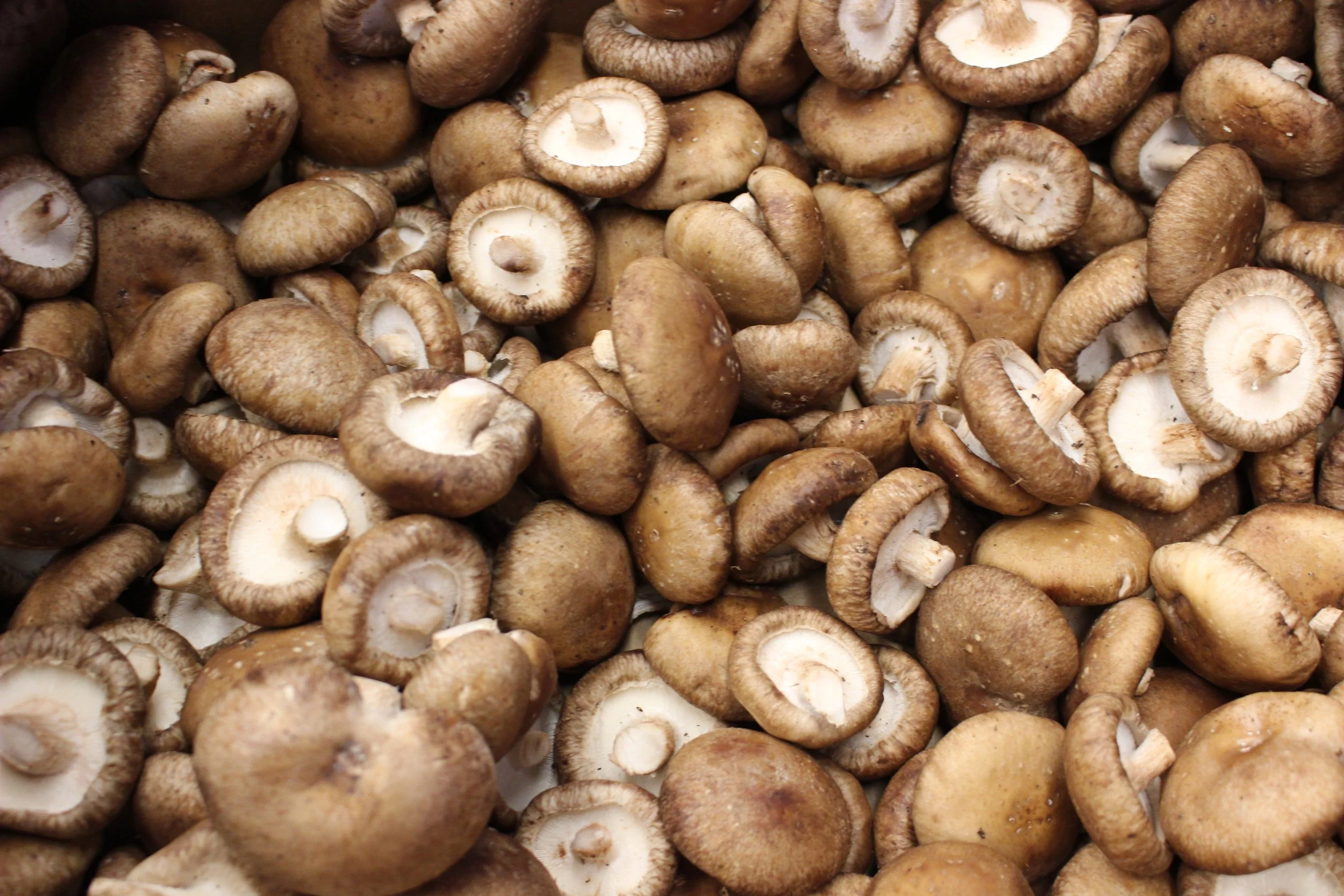 Mushrooms: Shiitake, Crimini