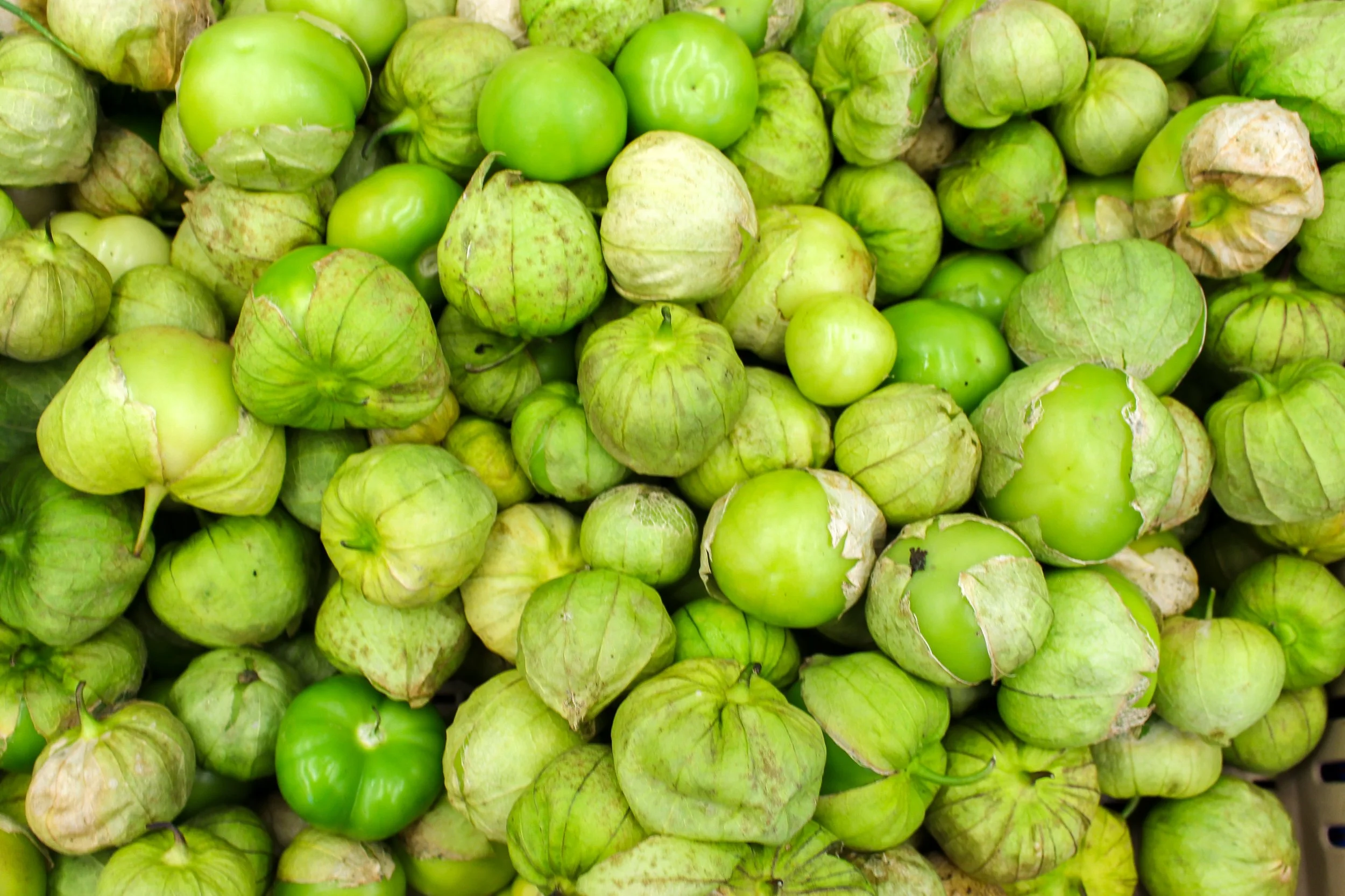 Tomatillos