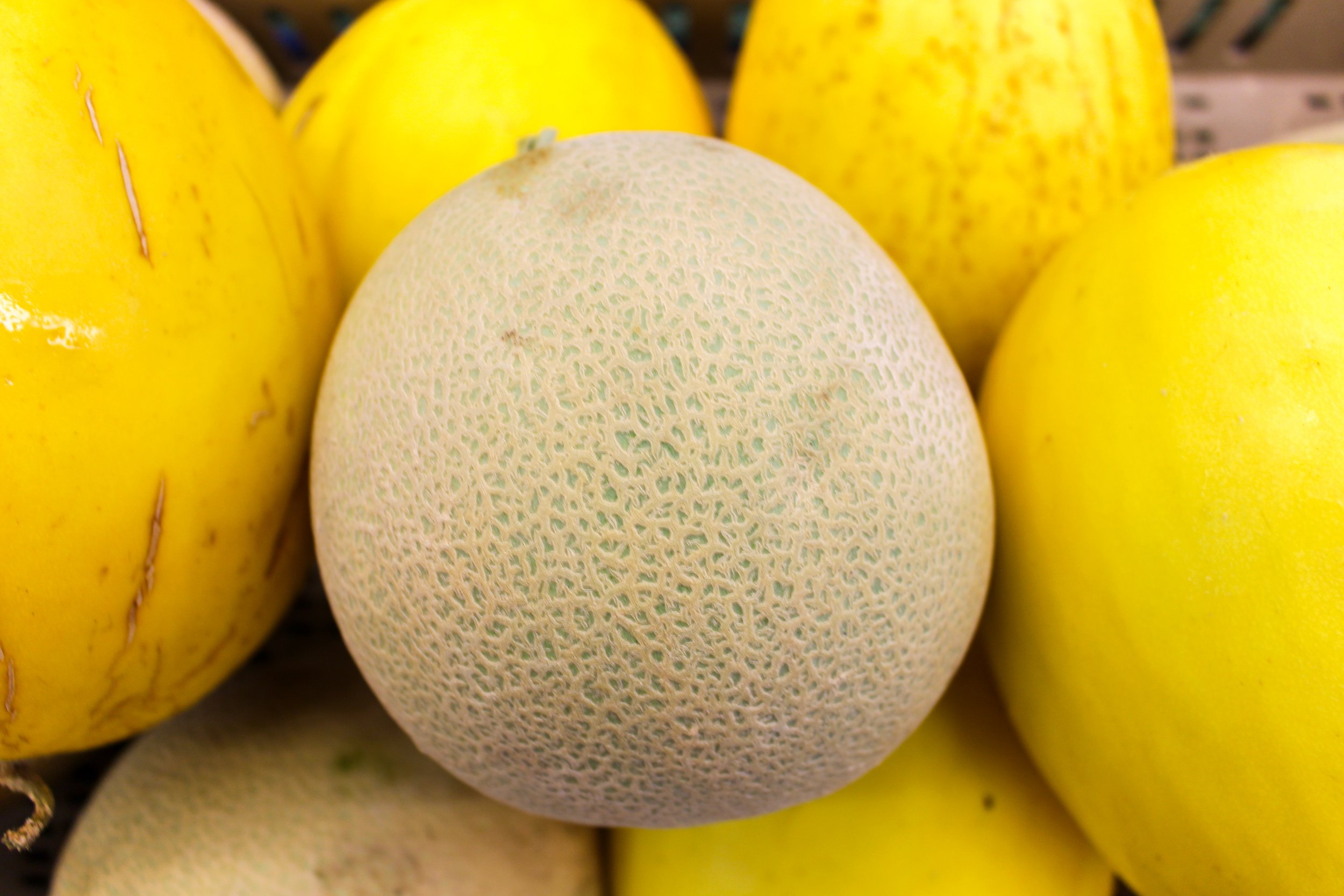Cantaloupe