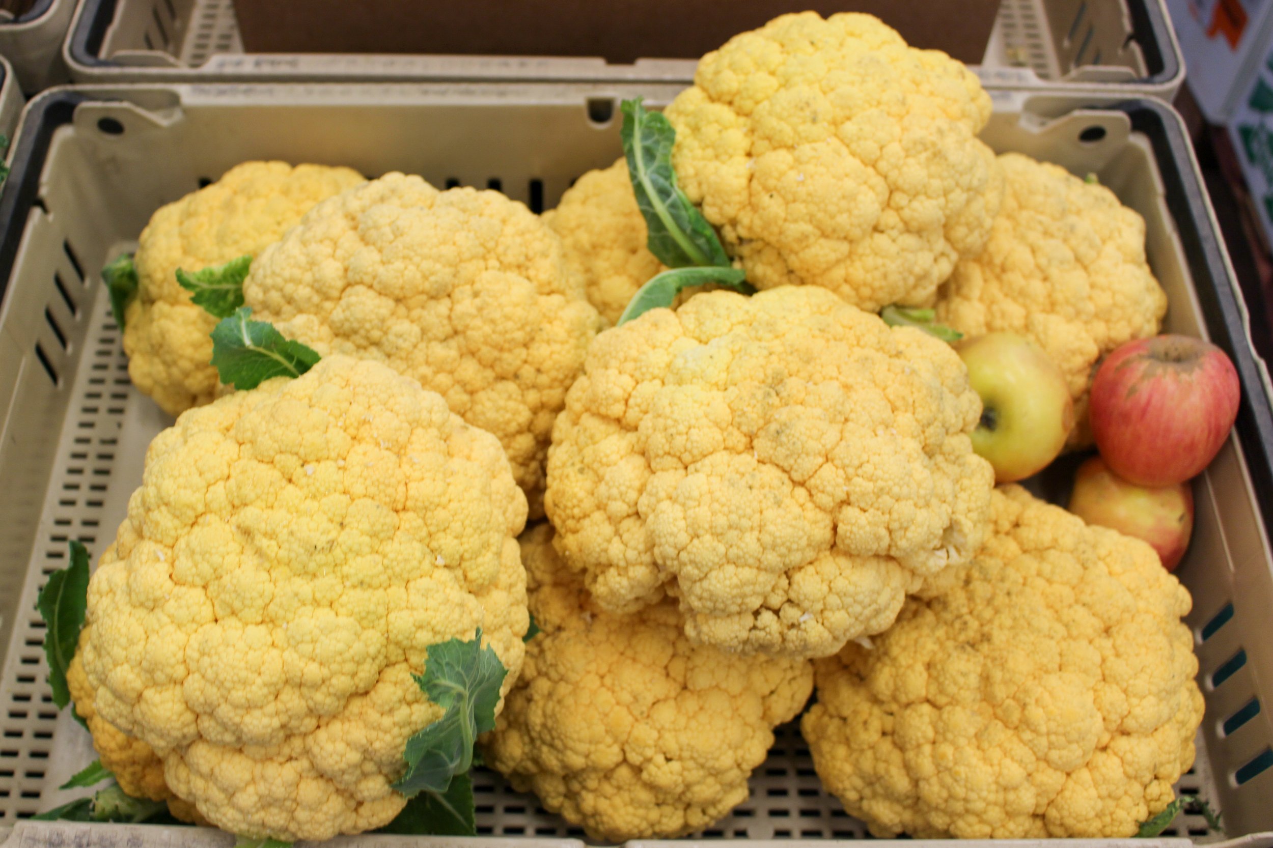 Cauliflower